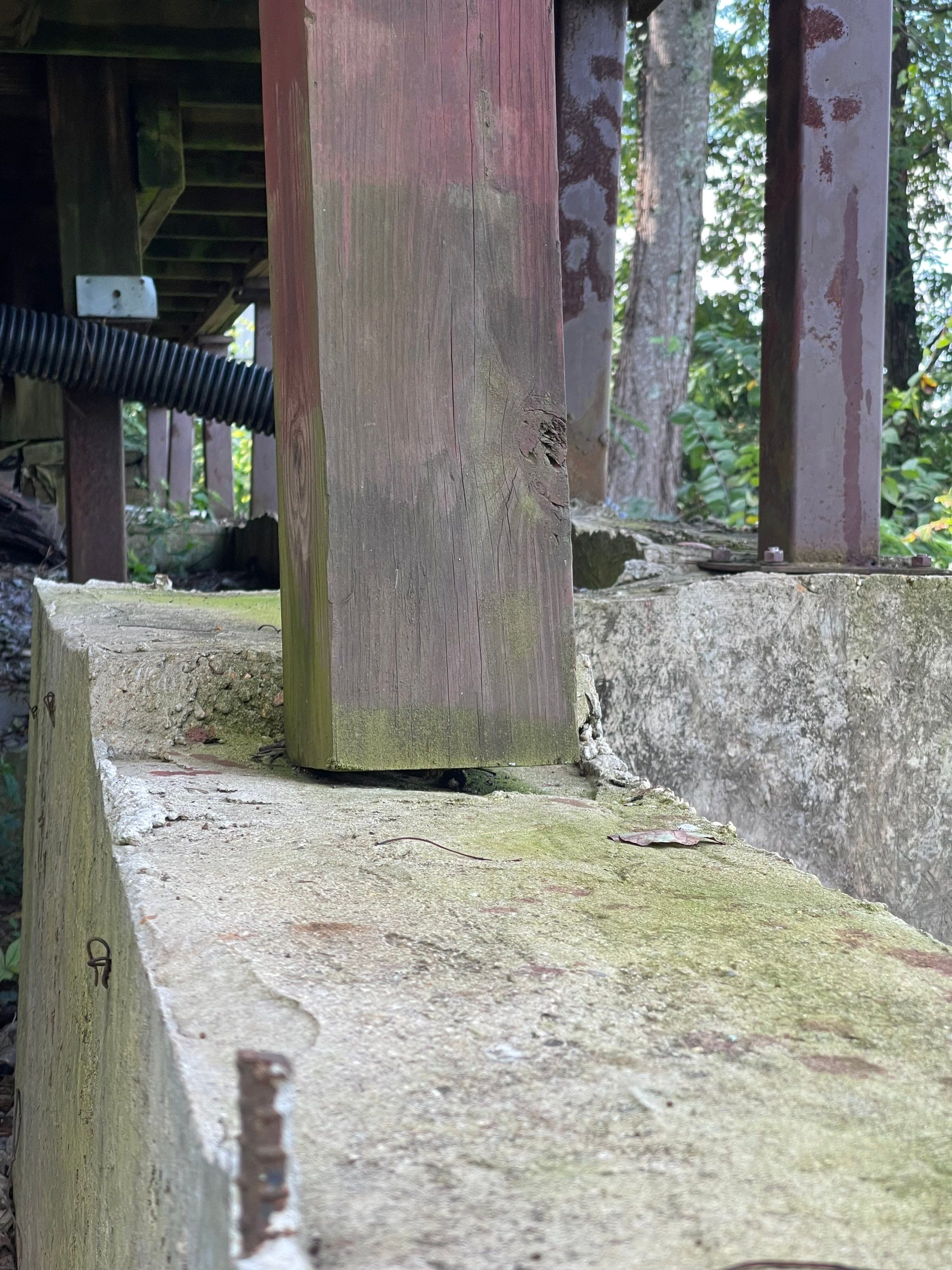 Shades Crest - Deck by Pillar and Pine