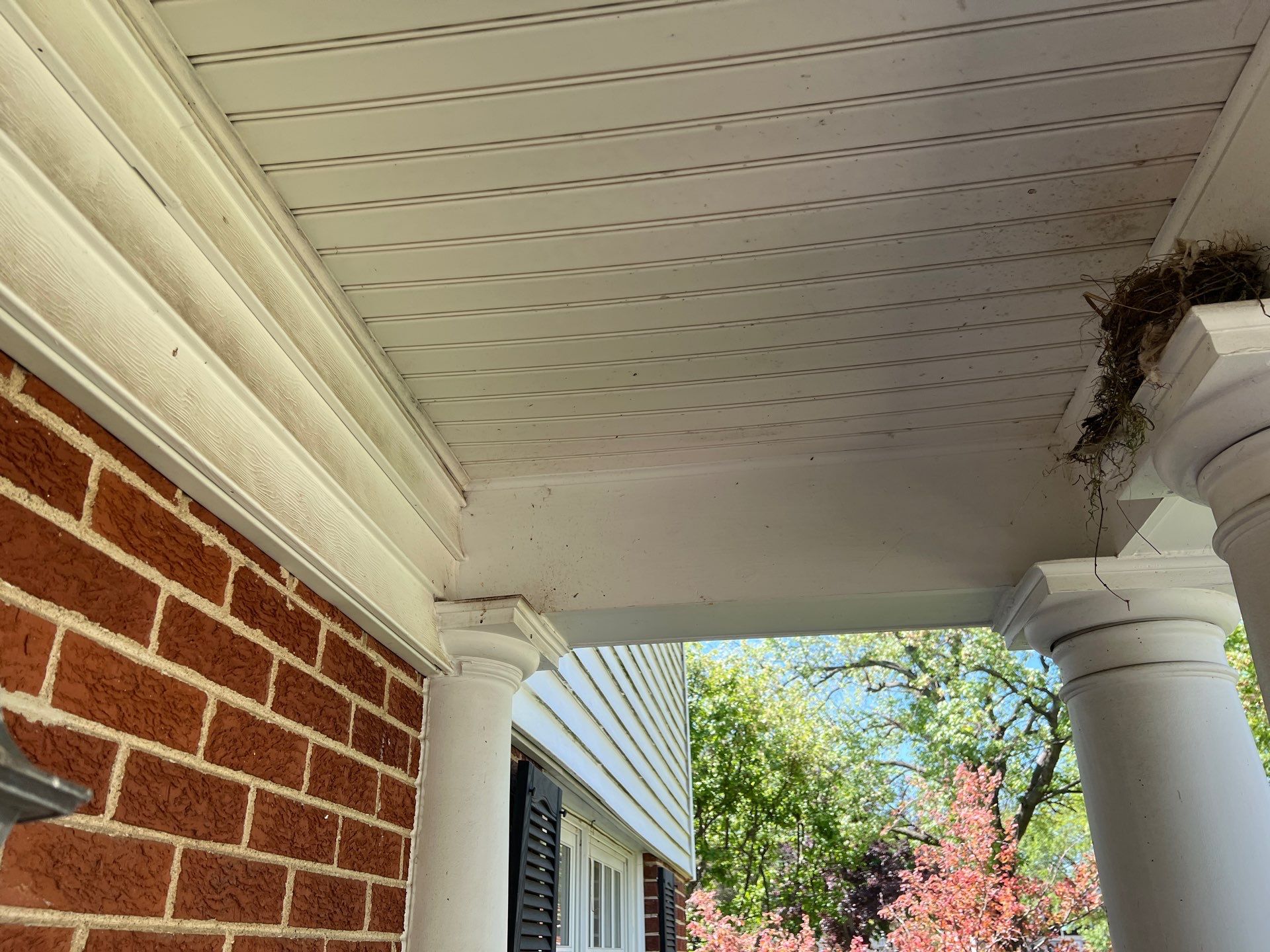 Housewashing  using Algaecide, soft wash soap by Northern Power Washing LLC.
