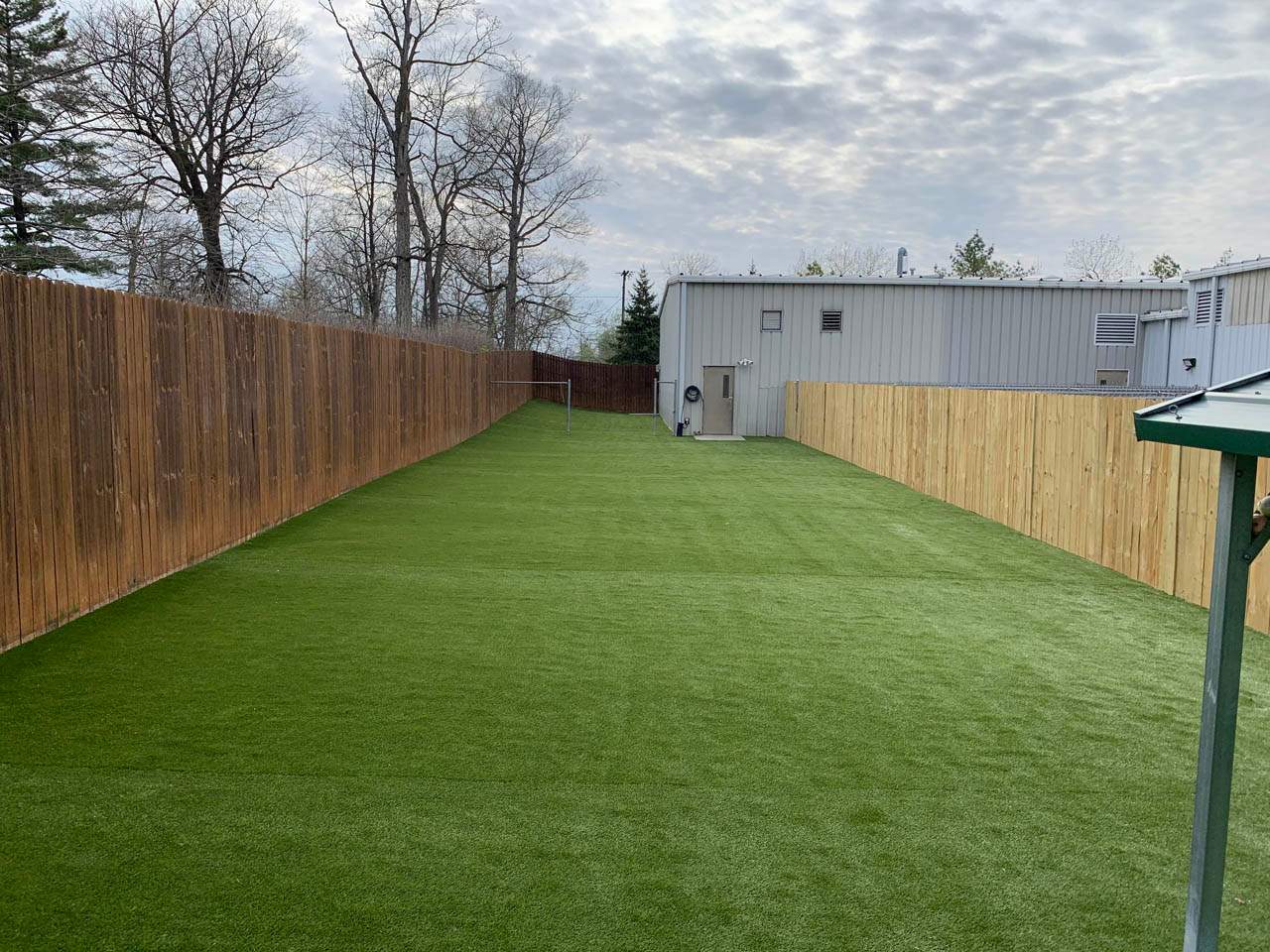 Pampered Pets K9Grass by ForeverLawn NEIN/INDY