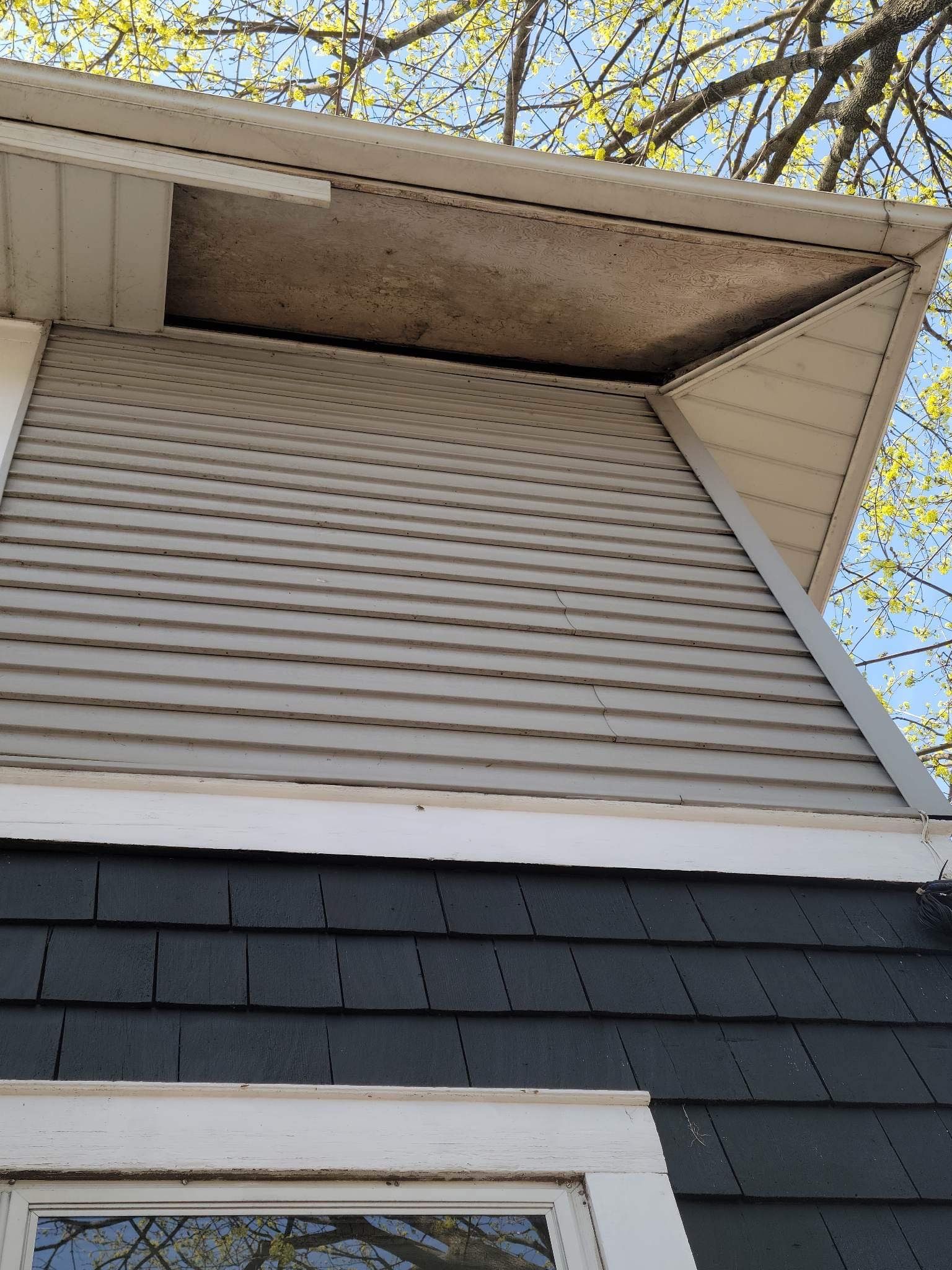Lori Berbari Stolte by Silver Leaf Contracting 