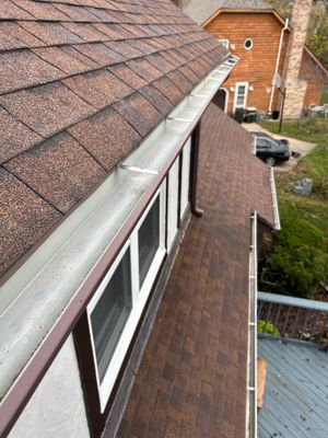 Turtle Shell gutter protection installation in Naperville, IL 60563, photograph 22