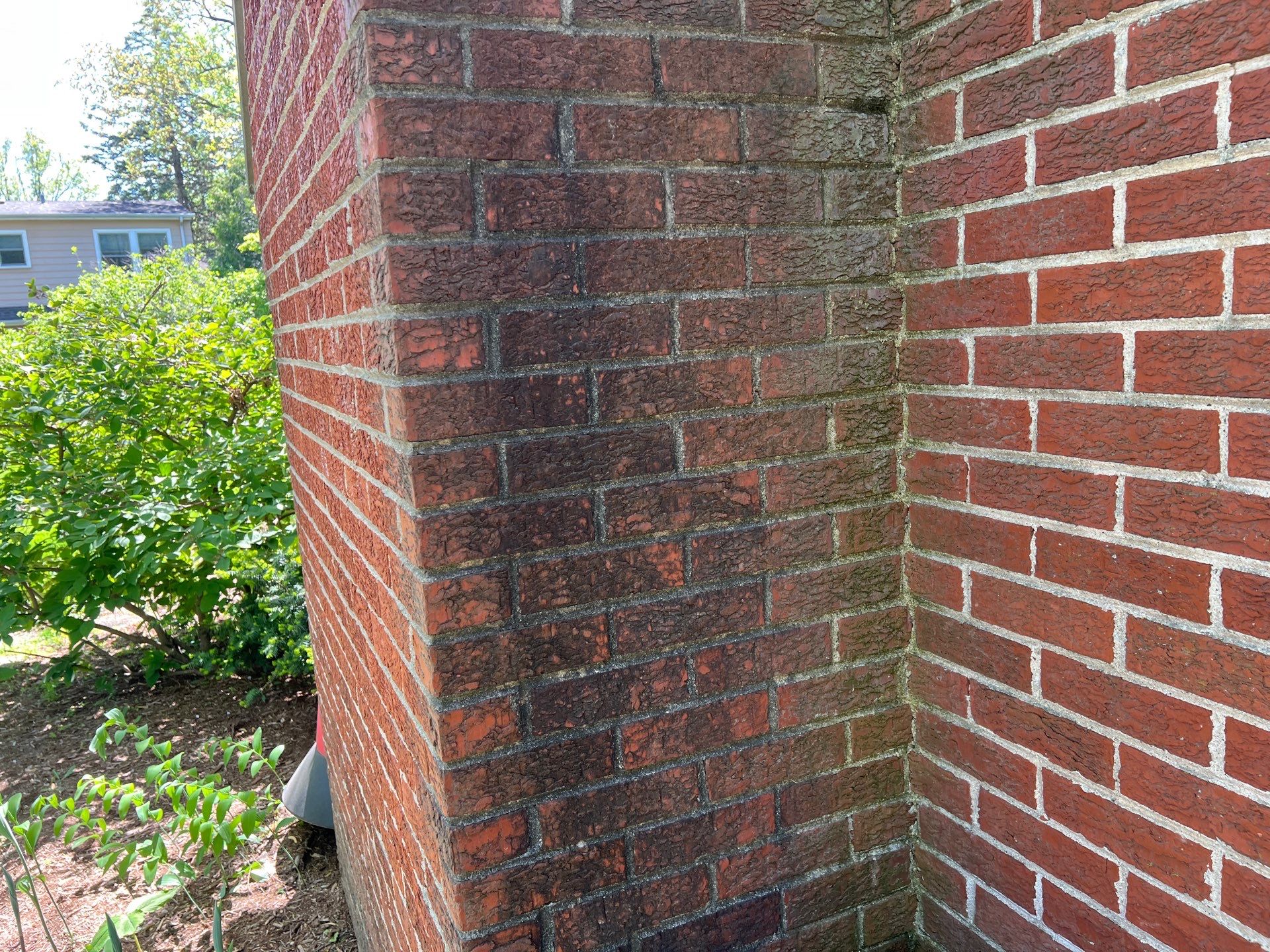 Housewashing  using Algaecide, soft wash soap by Northern Power Washing LLC.