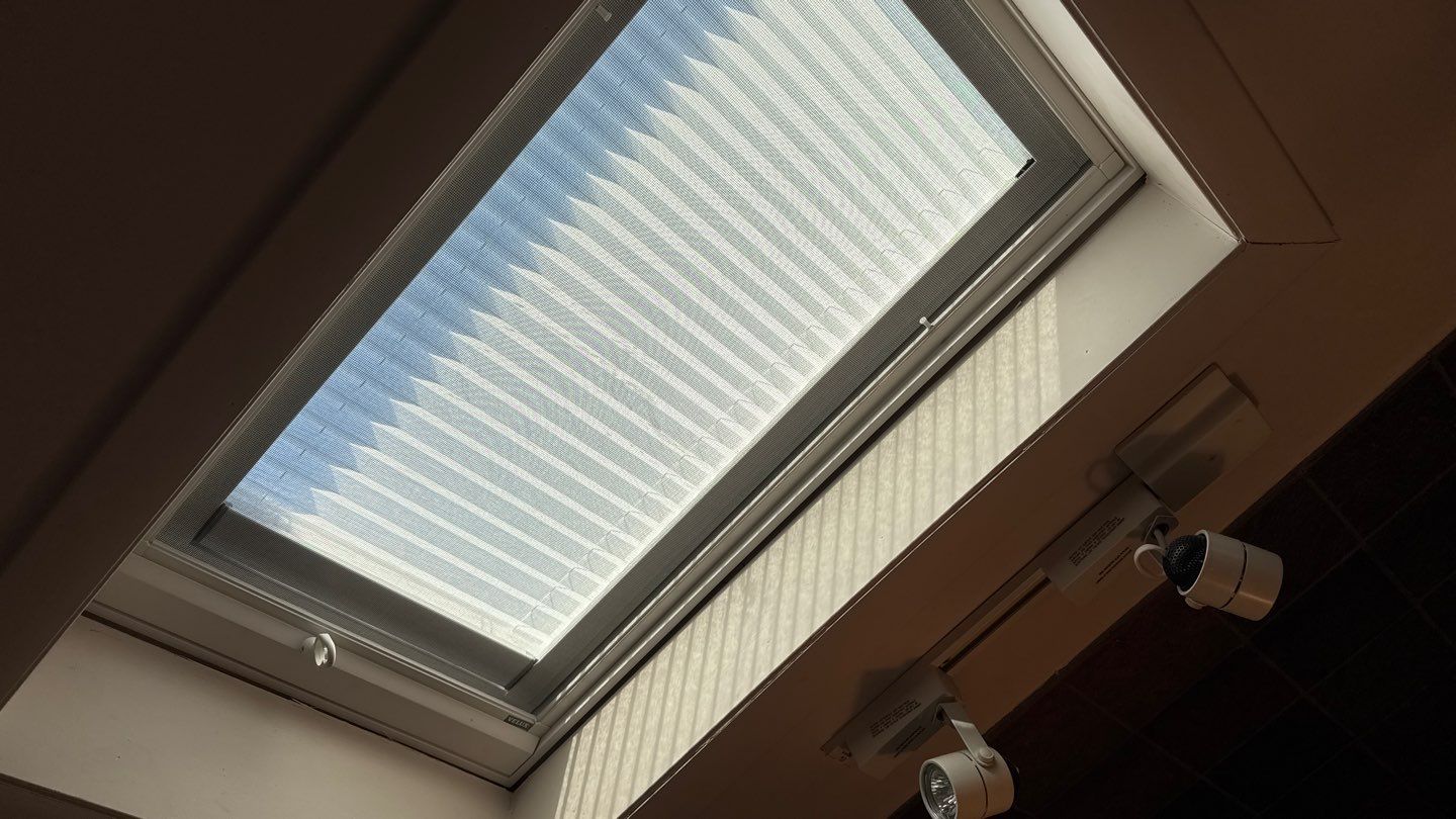 Old dog learns new tricks! by Modern Roofing Group