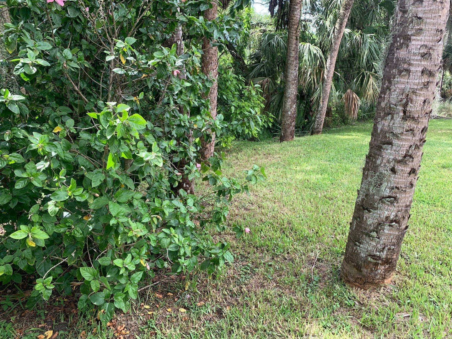 Palmetto, FL 4ft. Tall 3-Rail Aluminum  by Asap fence and gates, LLC