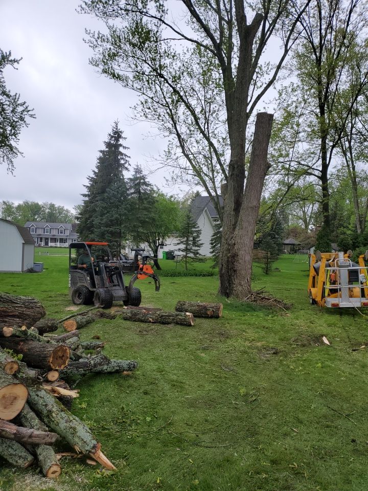 Tree Removal using Tree Removal by Mike Jones & Sons Tree Service LLC 