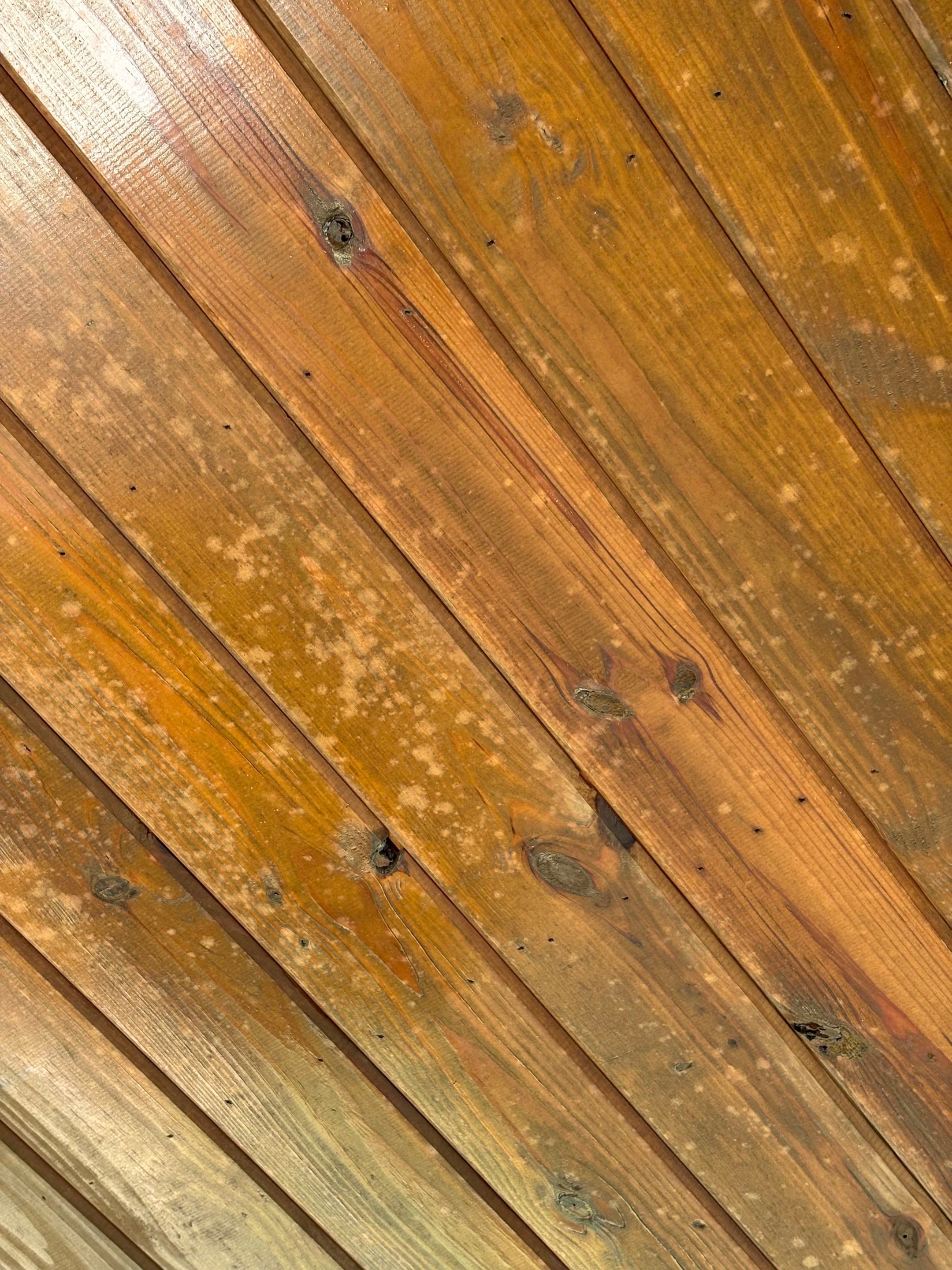 From Prep to Perfect Finish by Quality Coats Painting