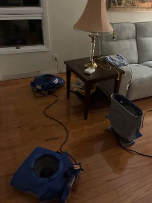 Emergency Water Extraction — Estero, FL