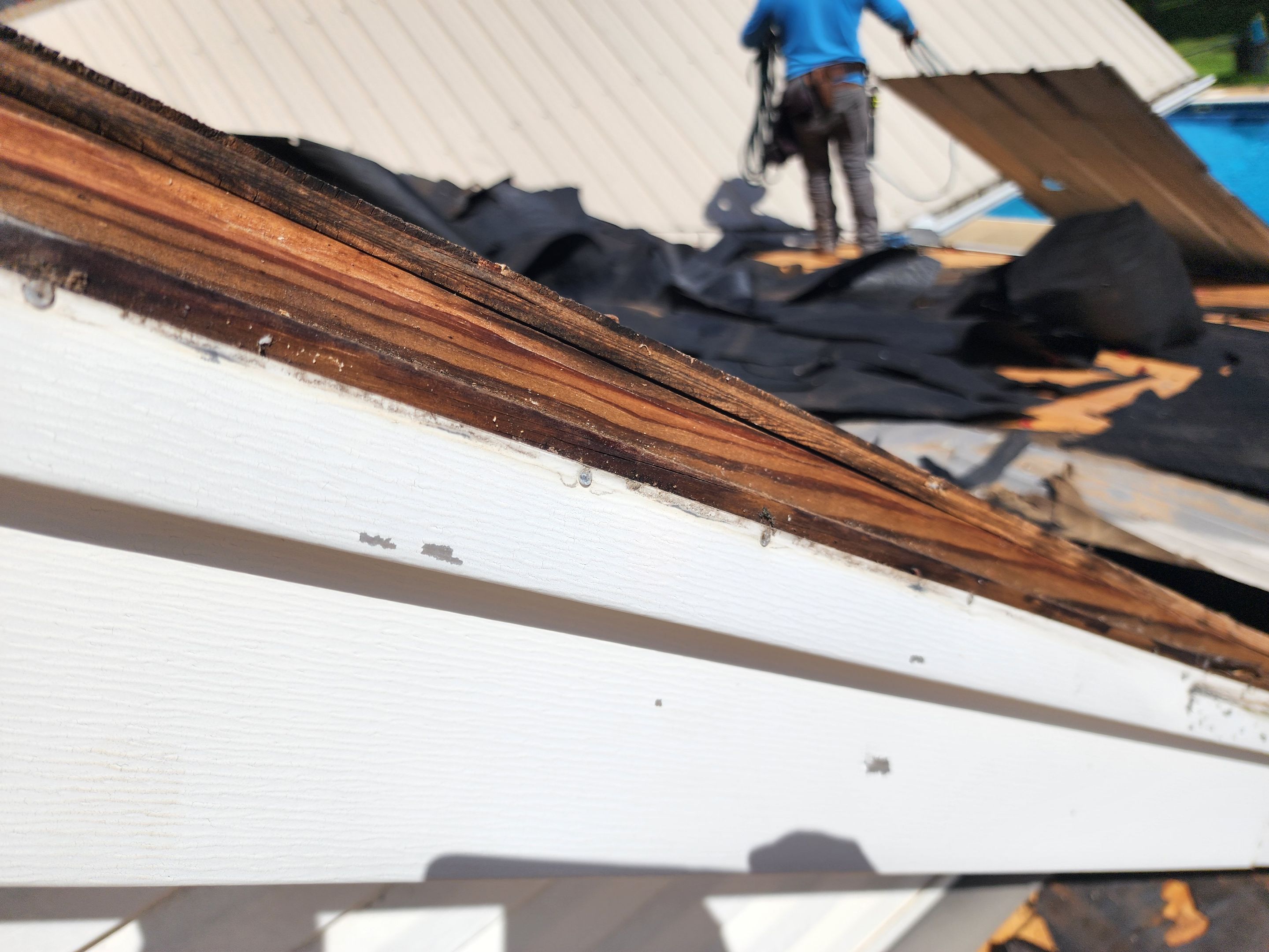 Residential Reroof: 30 Year Architectural Shingle by Hostetler Roofing