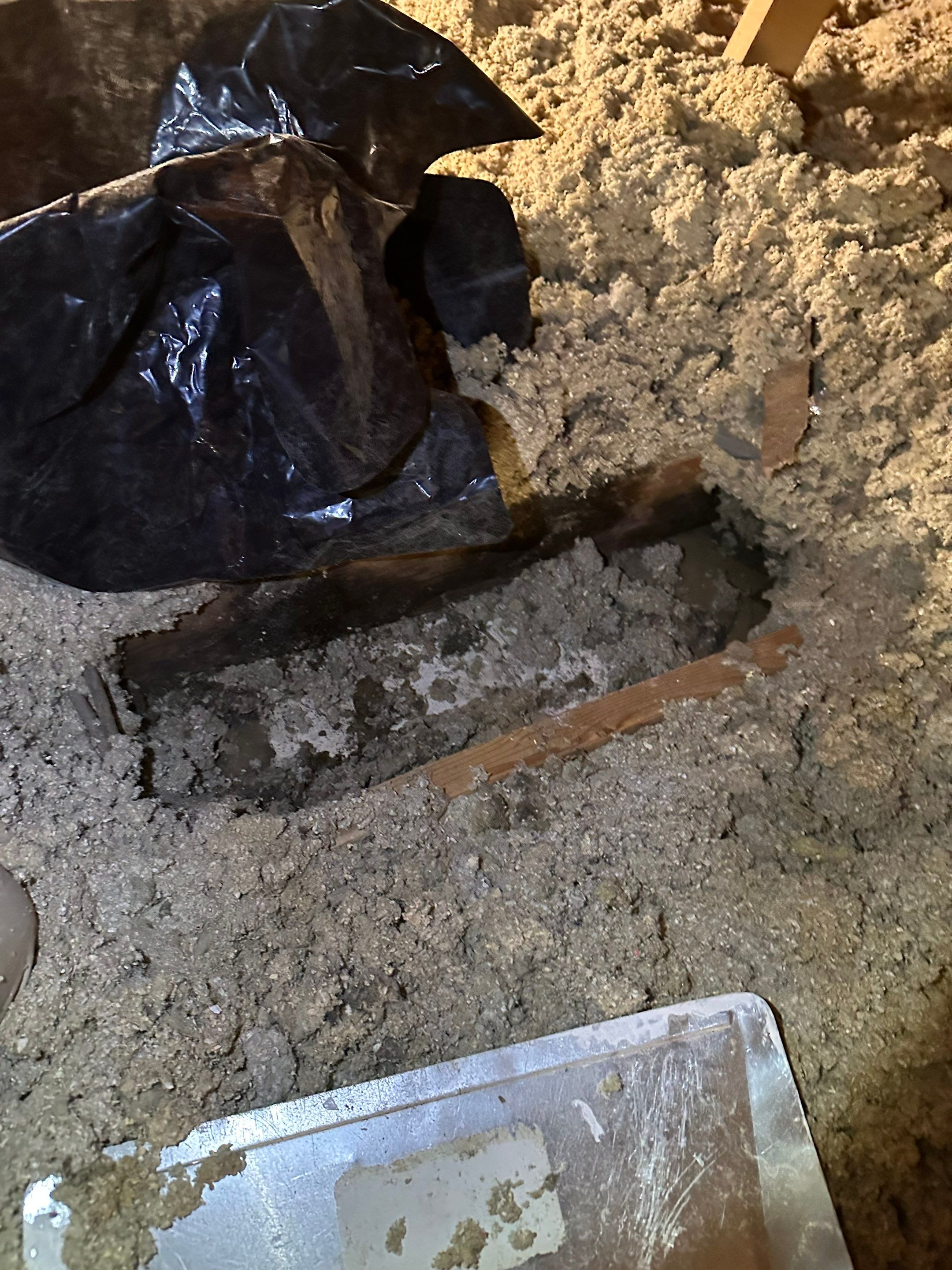 Mold in Crawl Space in Broomfiled, CO by Alpha Restoration 