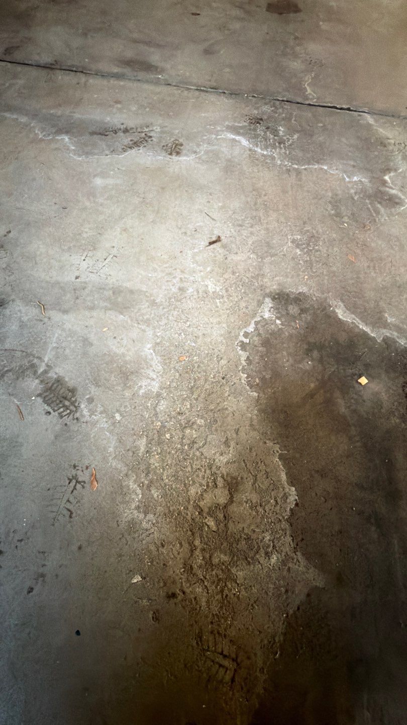 Amy W Residence by Torq Coatings