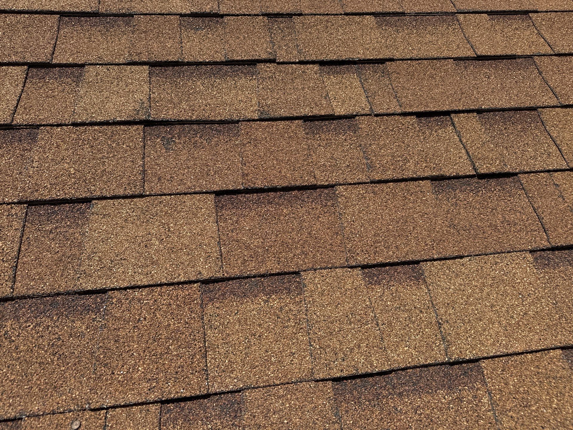 Desert Tan Shingles by Reimagine Roofing