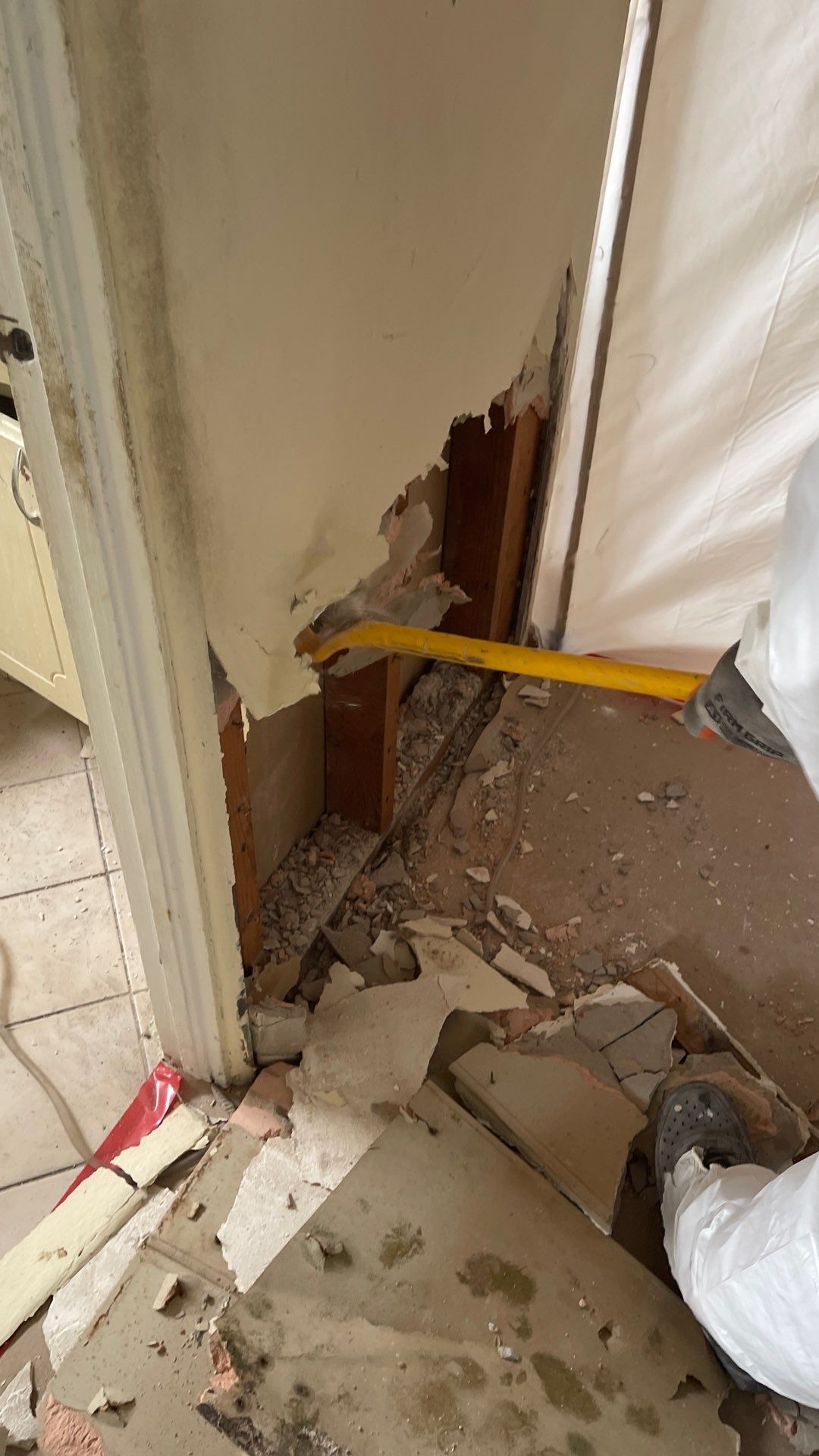 Mold Remediation  by THE RAPID TEAM