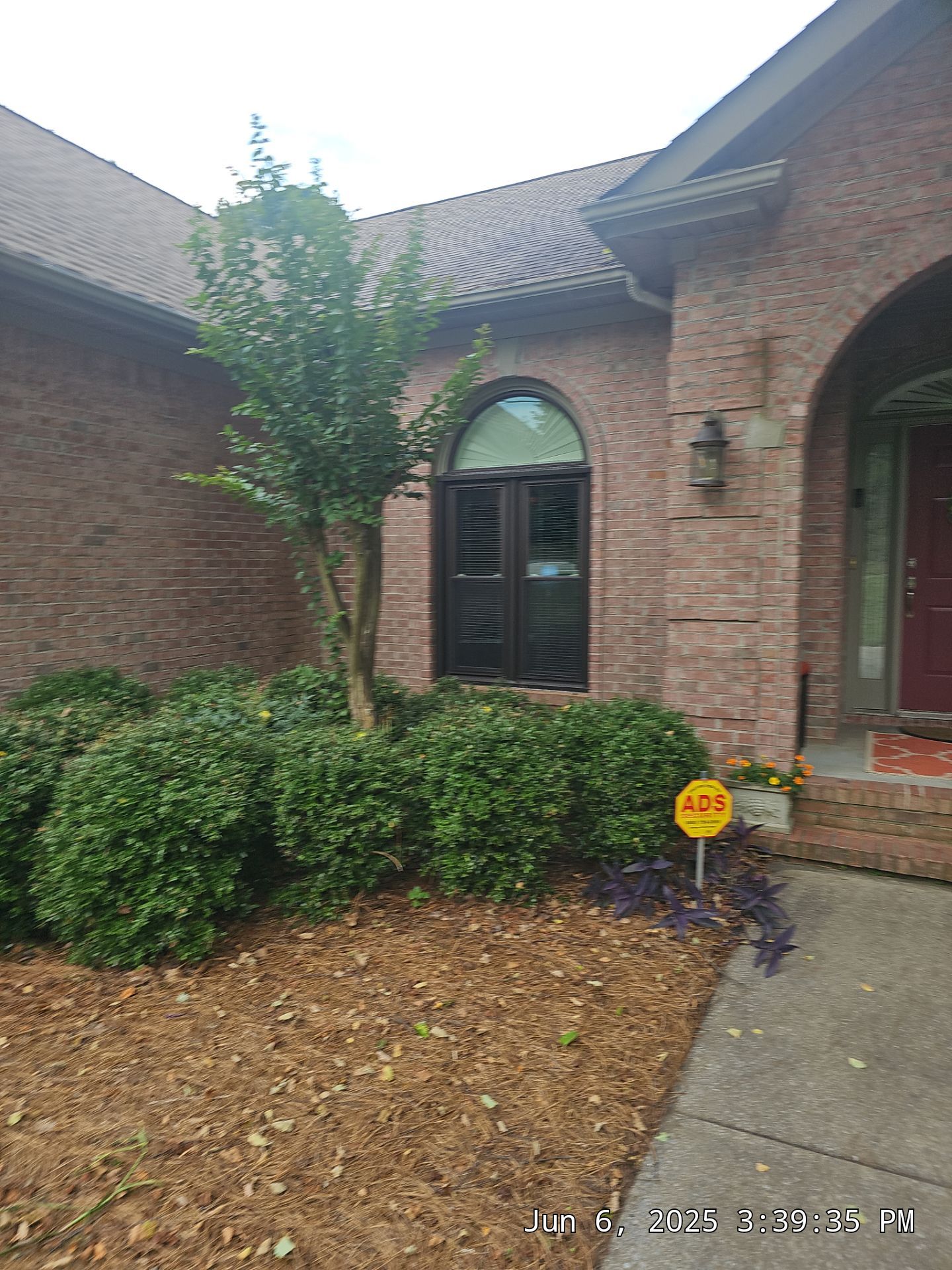 Laird Project in Helena by The Window Source