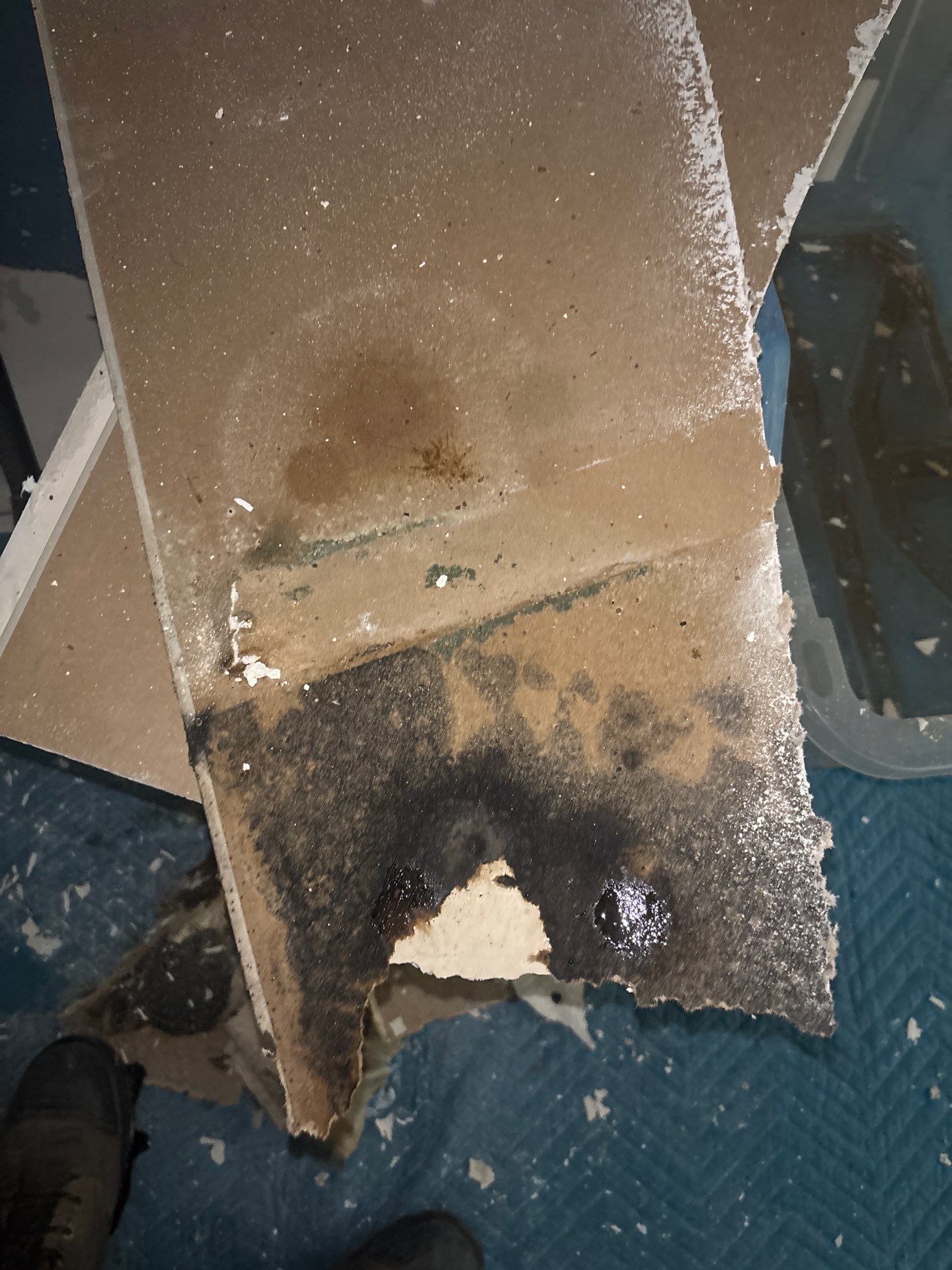 Water Damage Repair In Ellenton, FL by Ampm Restoration Services