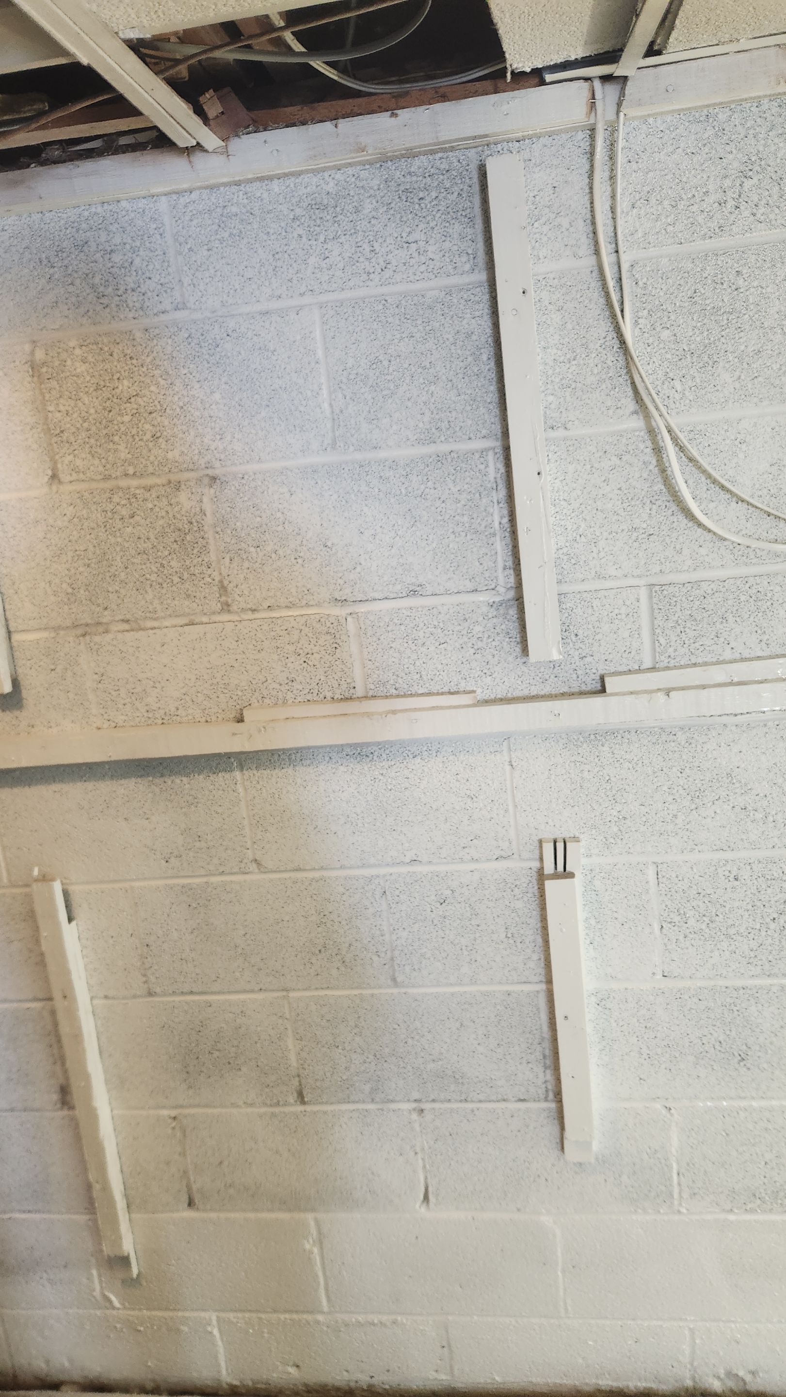 Interior French Drain & Mold Remediation Project in Manville, New Jersey by Pure Service Pro, LLC 