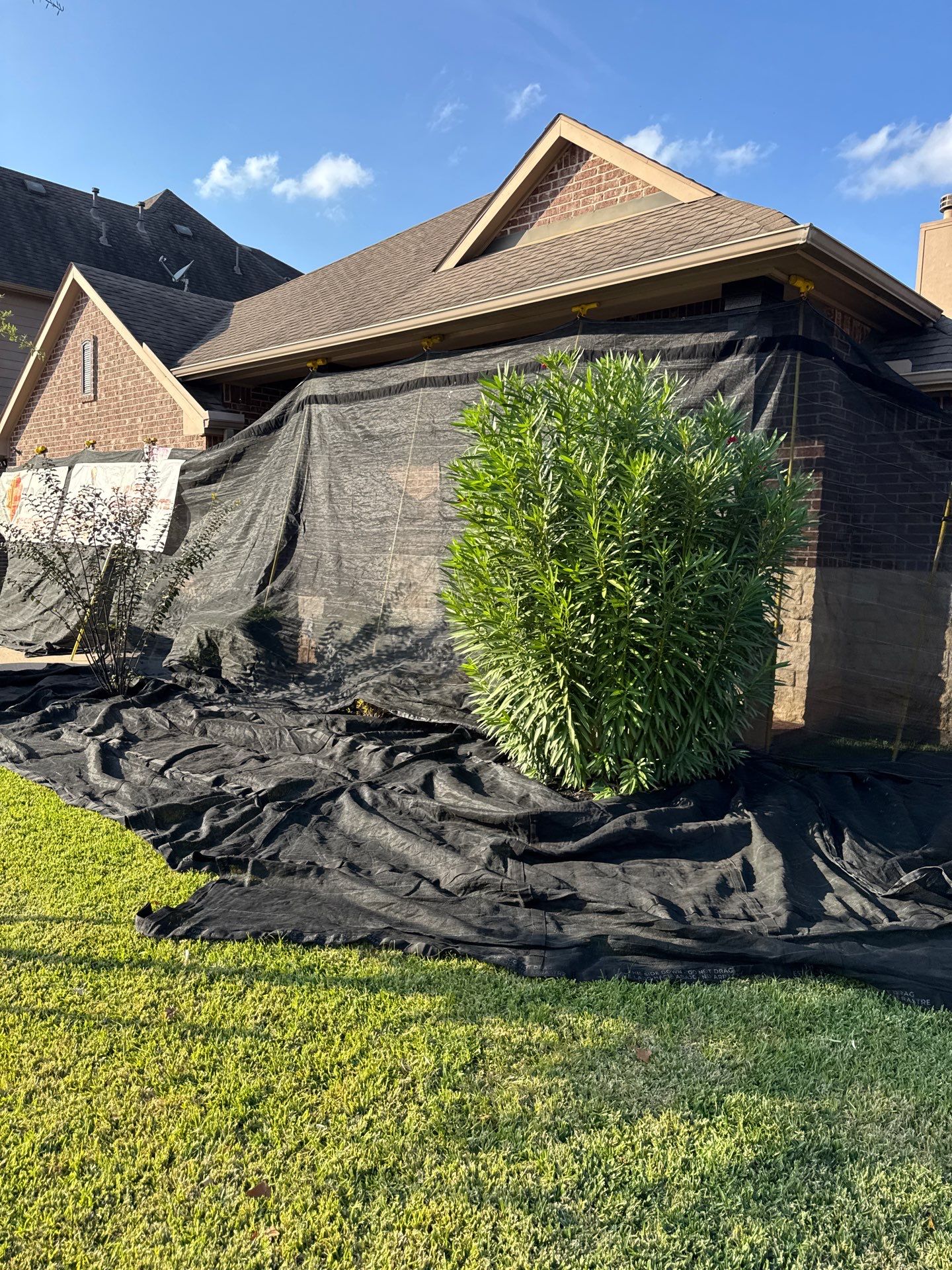 IKO Dynasty - Matte Black by Roof Concepts Construction