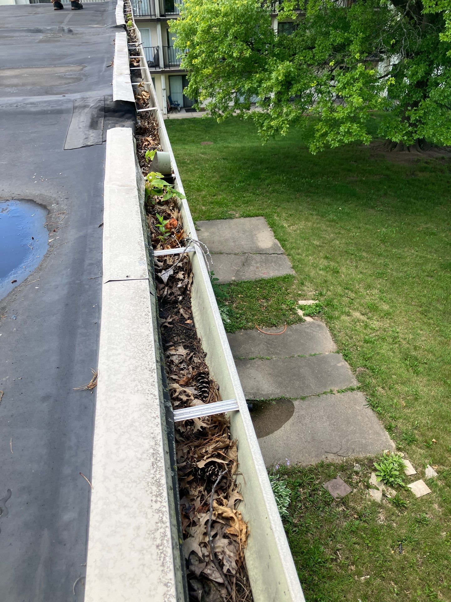 Commercial gutter cleaning Indianapolis before photo with filled gutters