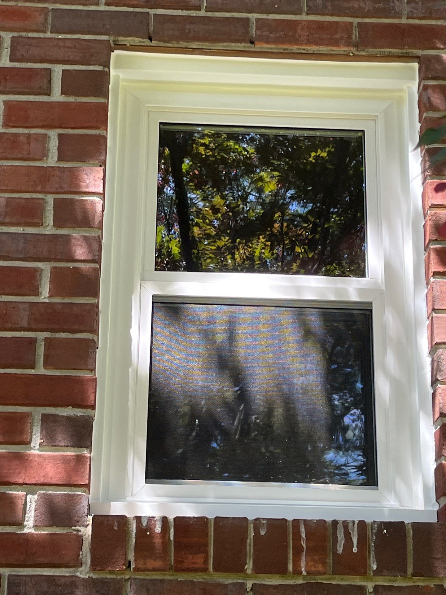 Jackson Project in Bessemer by The Window Source