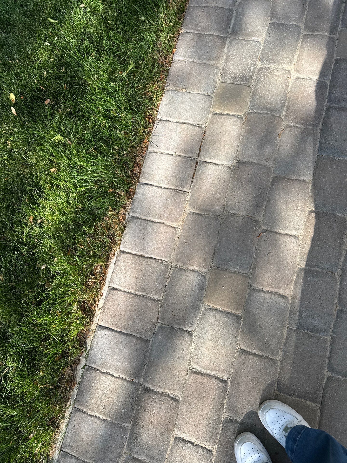 Pavers using Concrete Sealant by DuraSeal