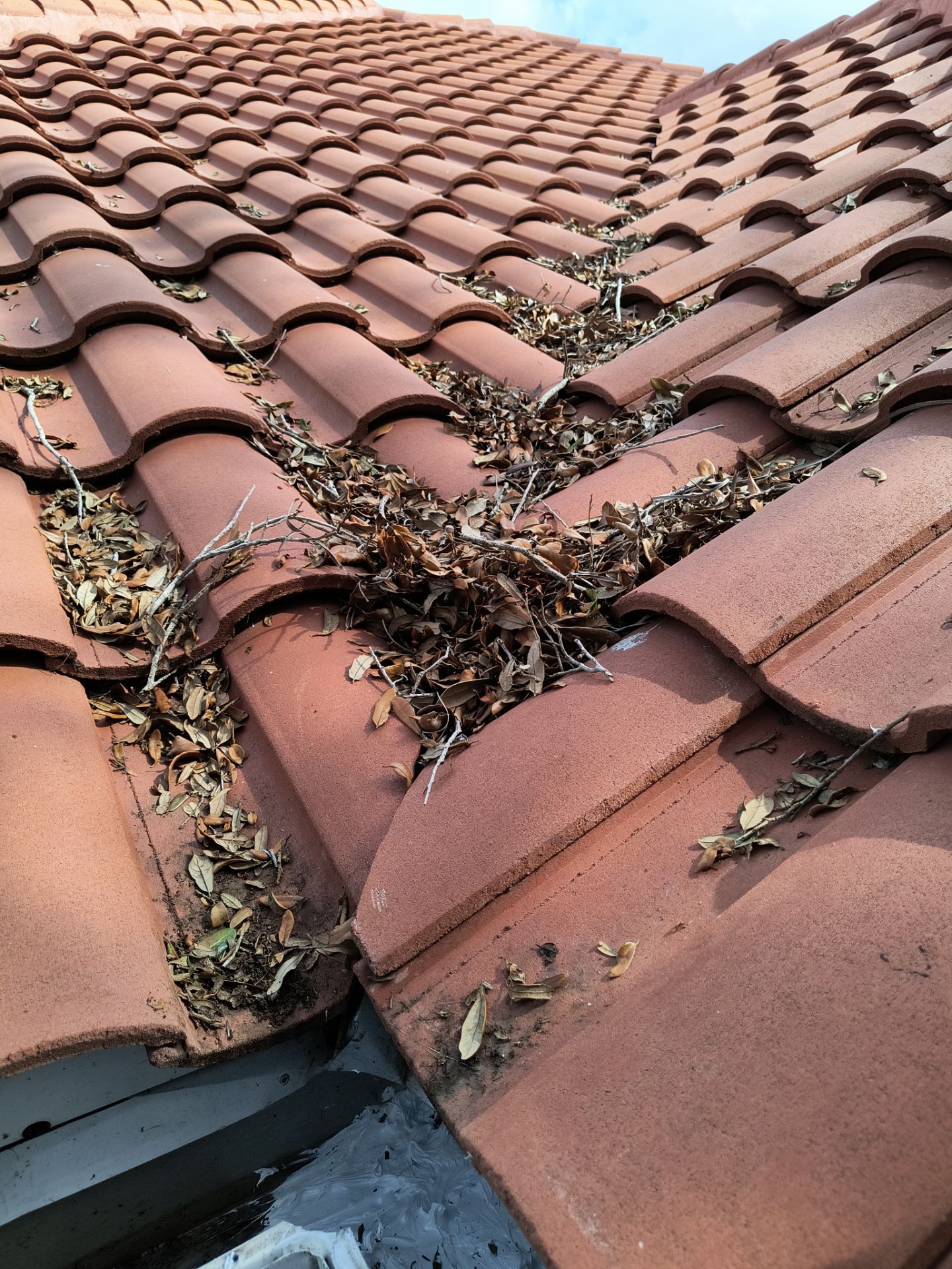 Downspout and Elbow Installation in Bonita Springs FL by Gutter Professors
