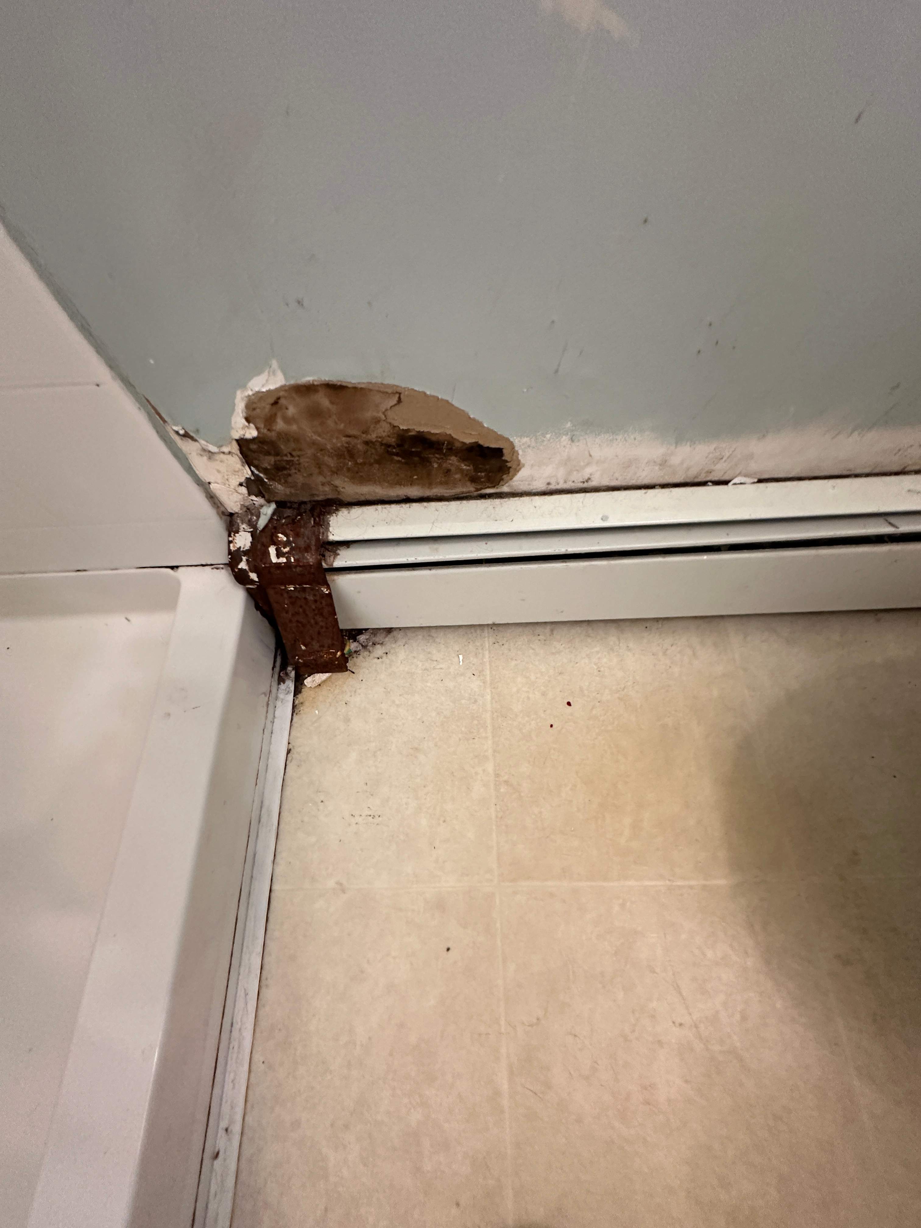 Bathroom Mold Remediation by Home Guarantee, LLC