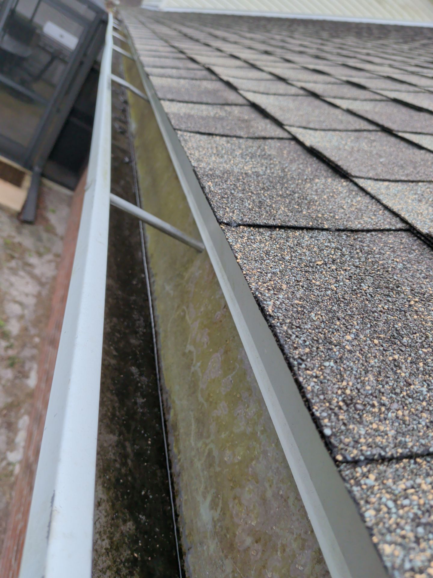 Gutter Cleaning & Debris Removal — Oceanway (Northside Jacksonville) by Harmoni Home Services