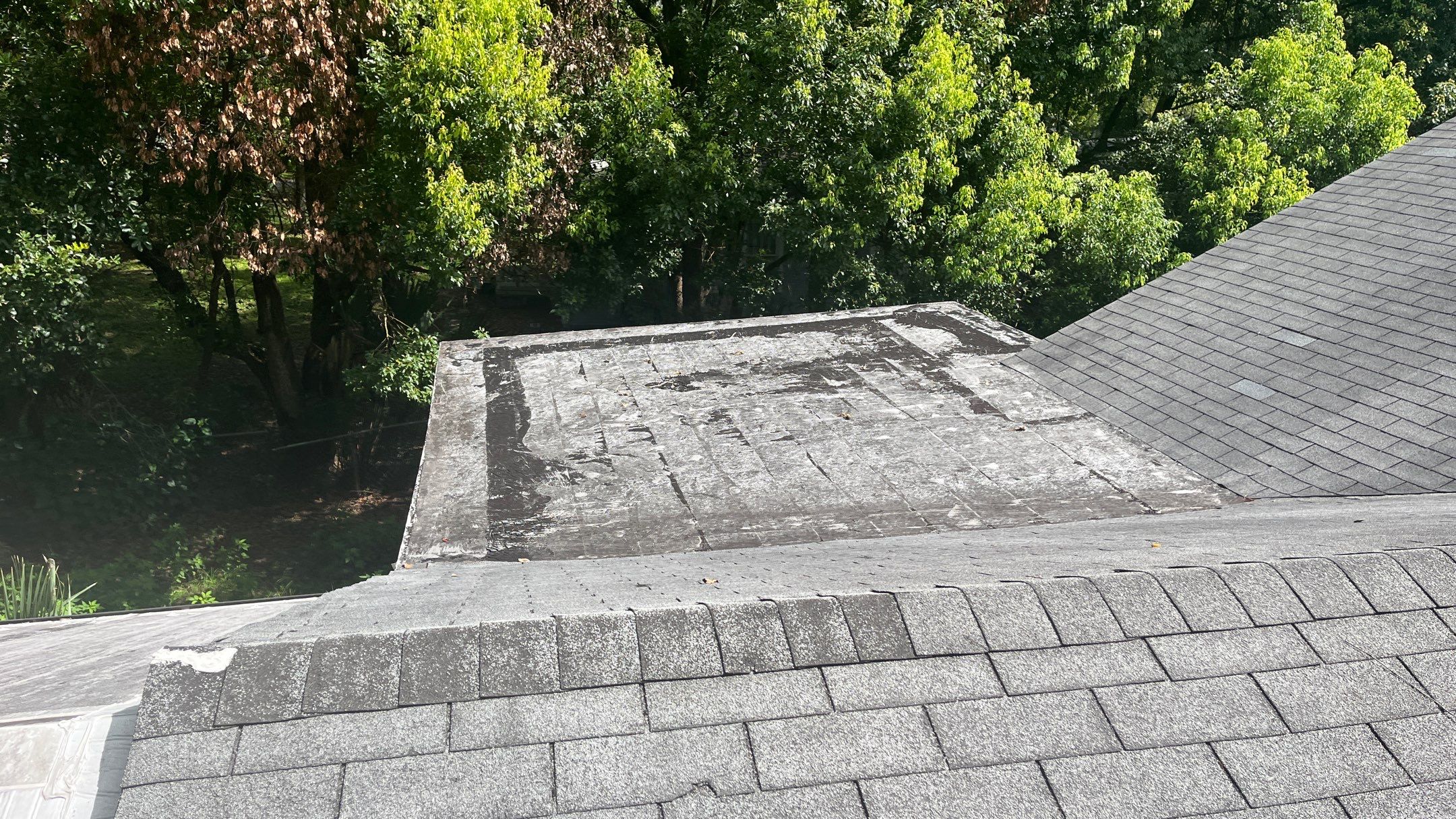 Shingle -> Shingle by Prime Roofing