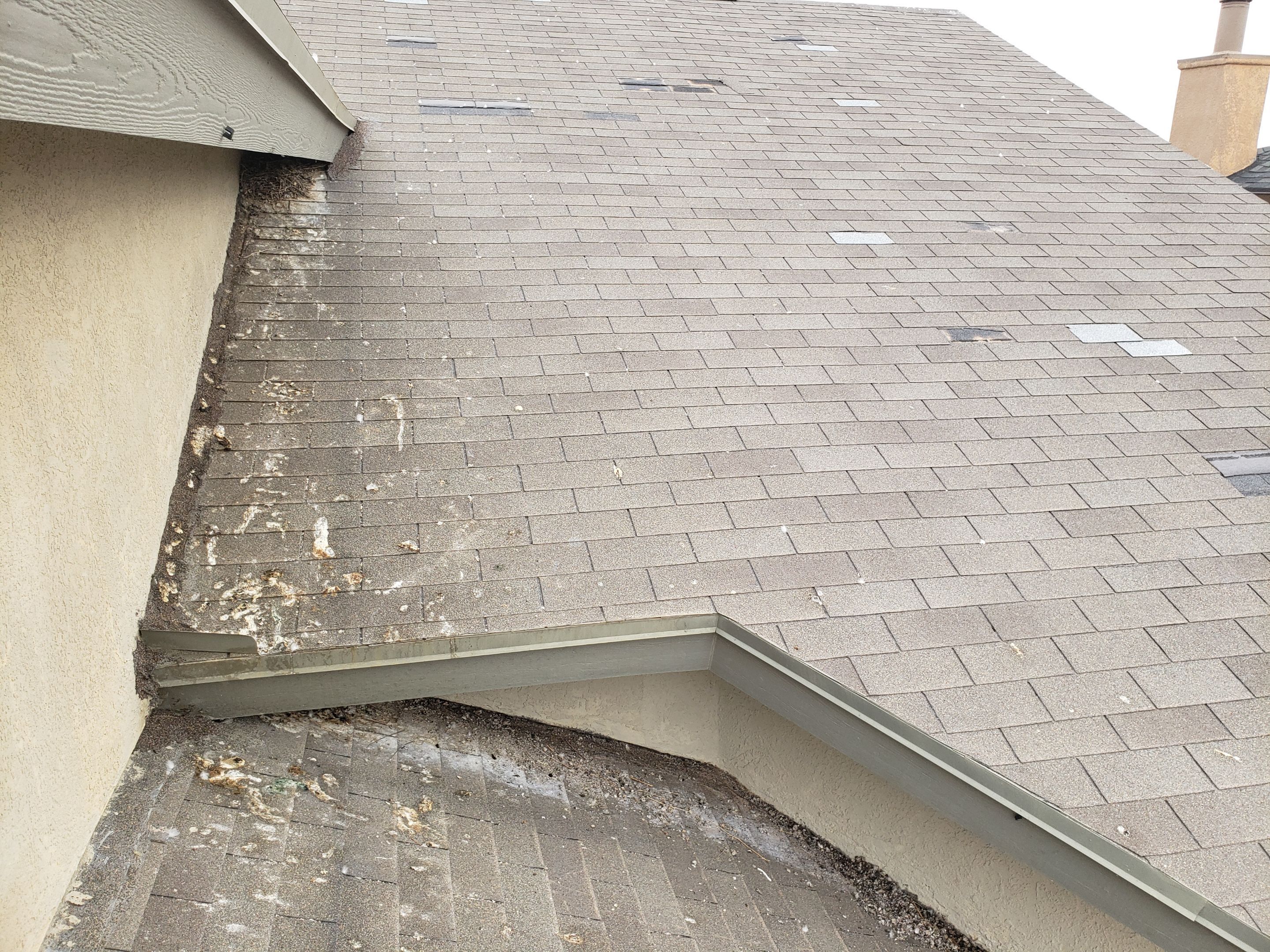 Shingle roof restoration by SPF Services 