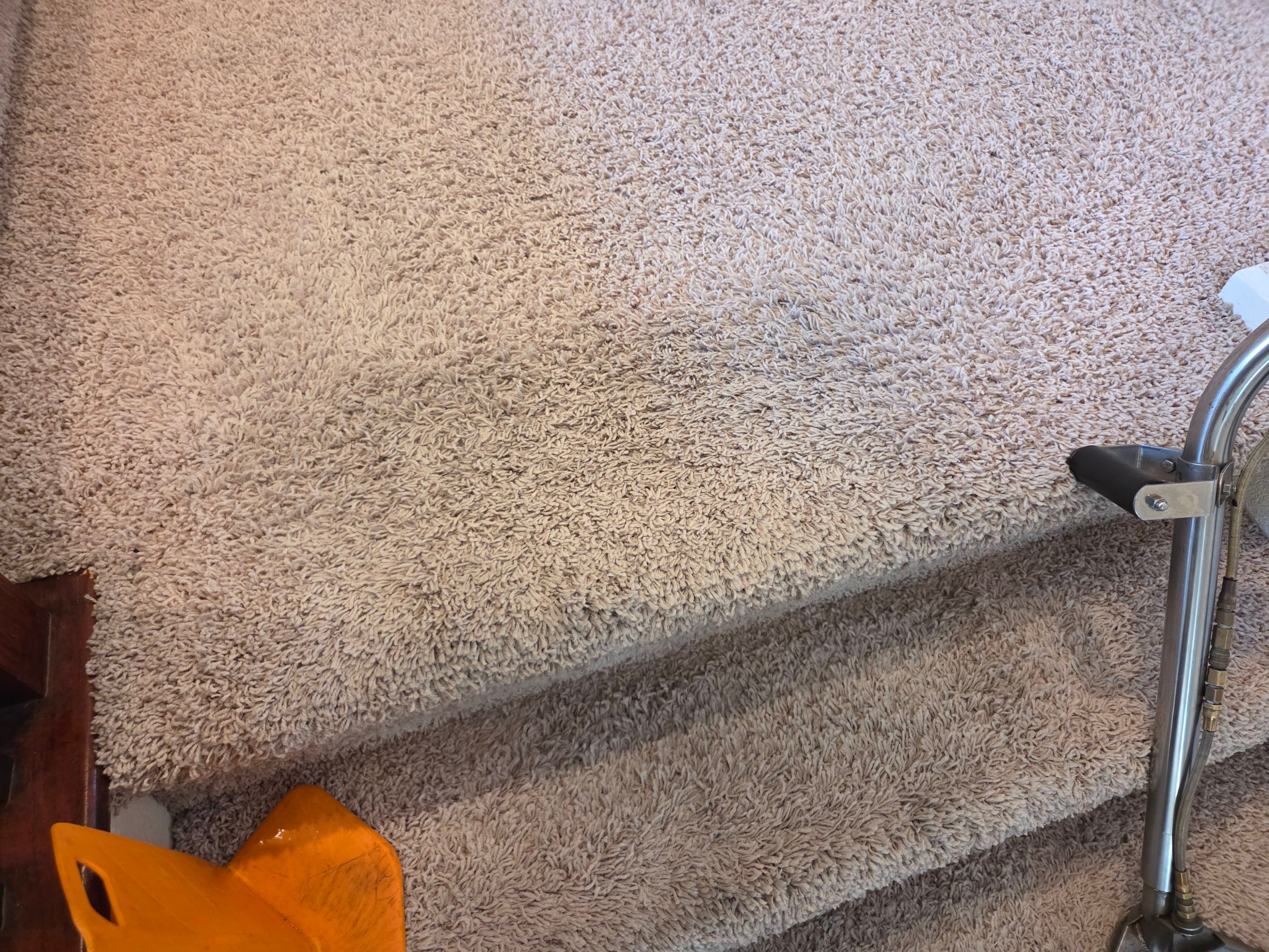 Carpet & Upholstery Cleaning in Roseville by Ardent Carpet Restore LLC