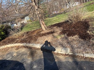 Comprehensive Spring Cleanup and Landscape Bed Mulching in Orange