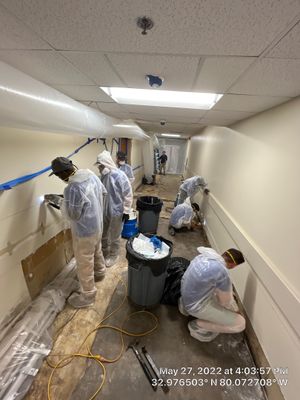 Non-Friable Asbestos Abatement and Mold Remediation 