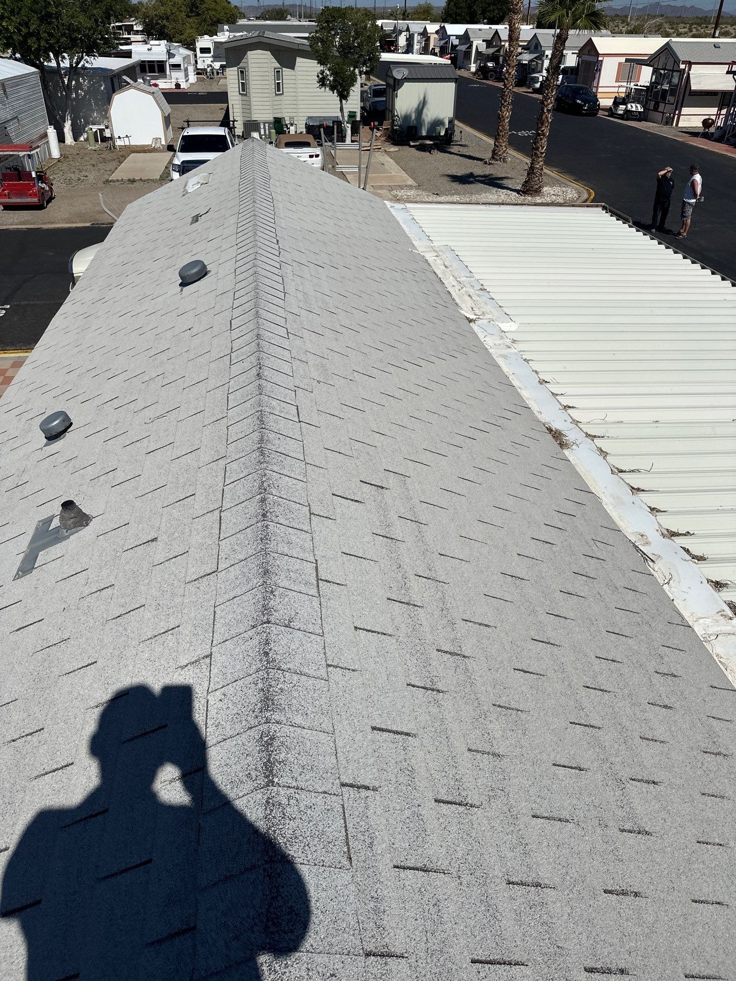Silver Birch Shingles by Reimagine Roofing