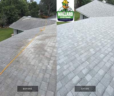 Residential Shingle Roof Cleaning and Exterior Refresh in Maitland