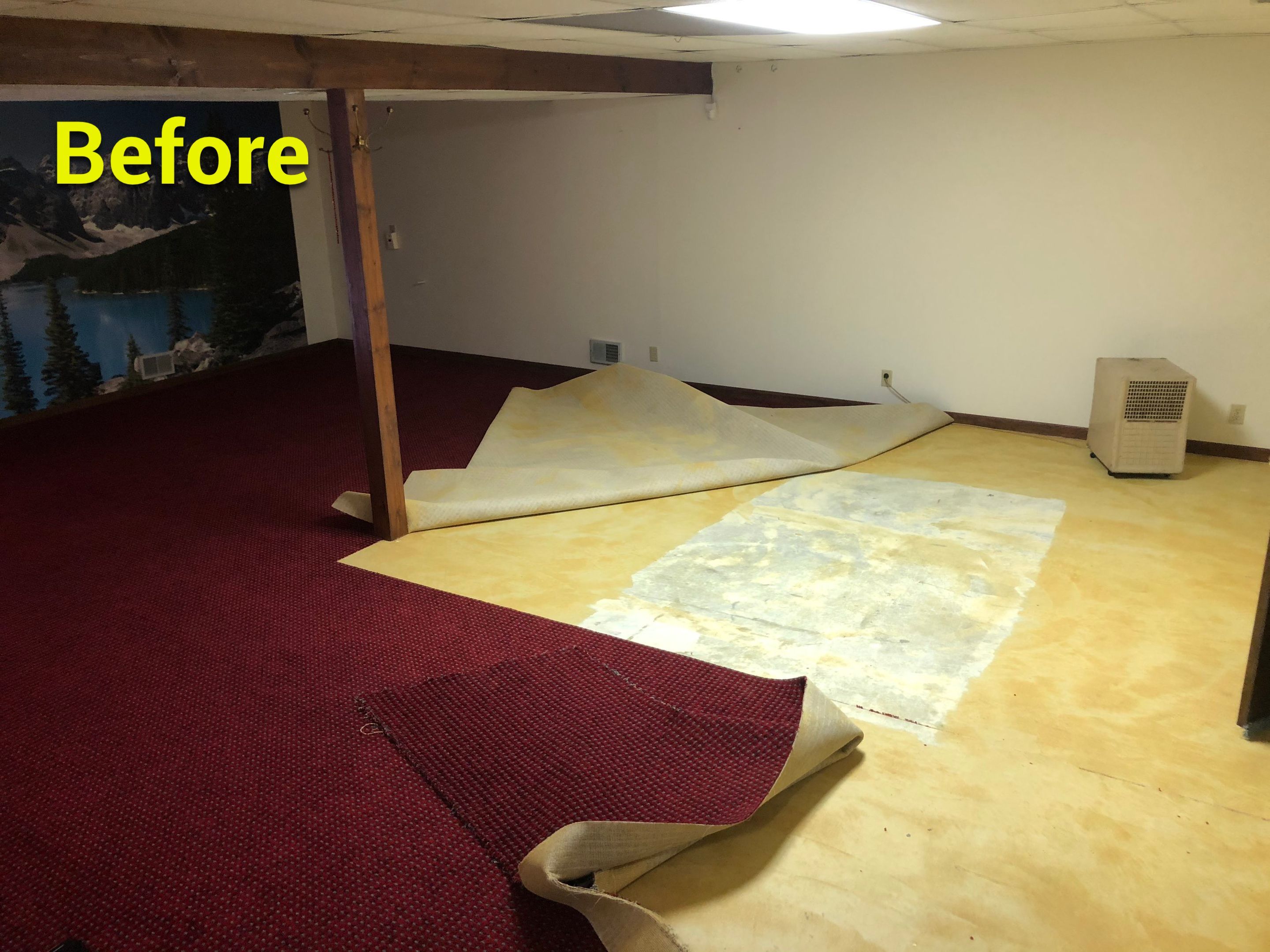Basement in Domino - Girard, OH by Alexander Concrete Coatings