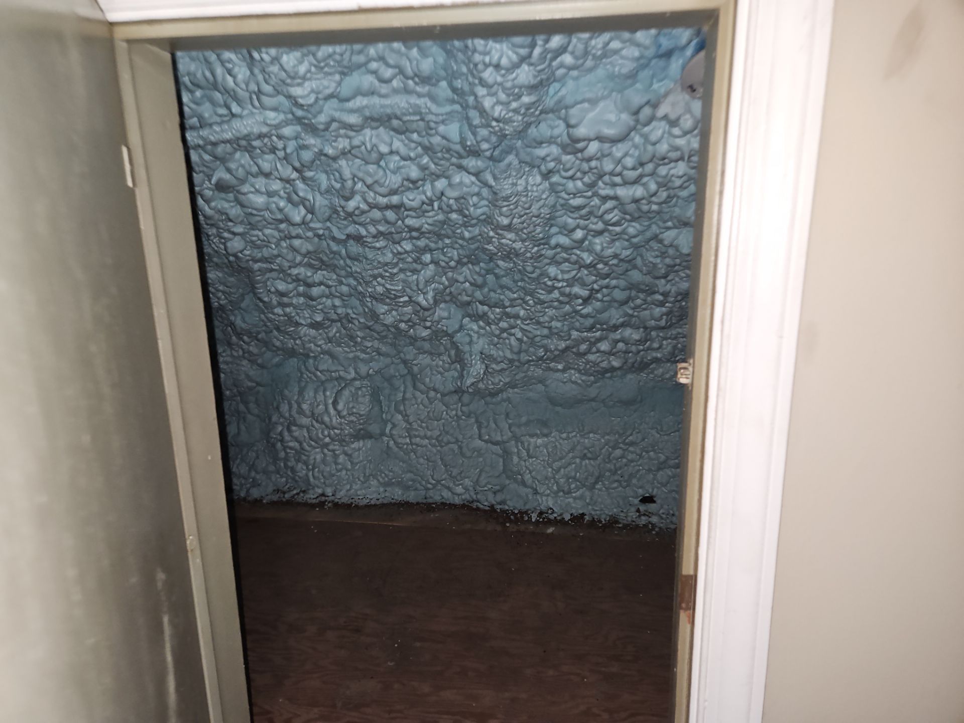 Project in Alexandria, VA by Founders Insulation