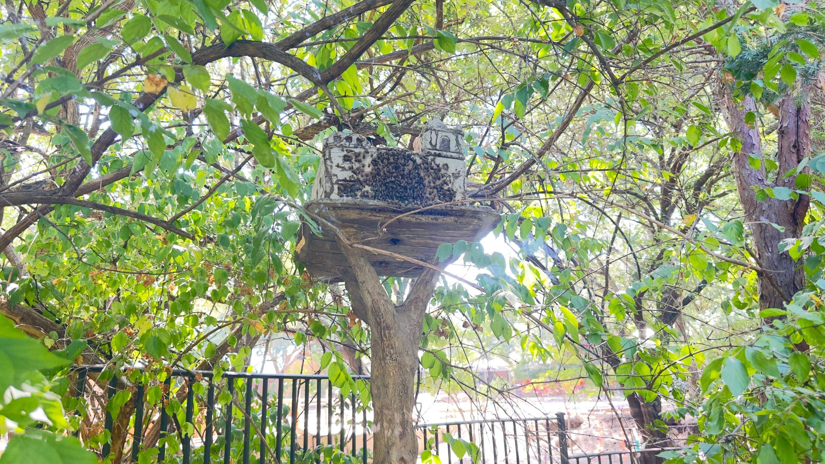 Bird Houses by Rockwall Honey Bee Company