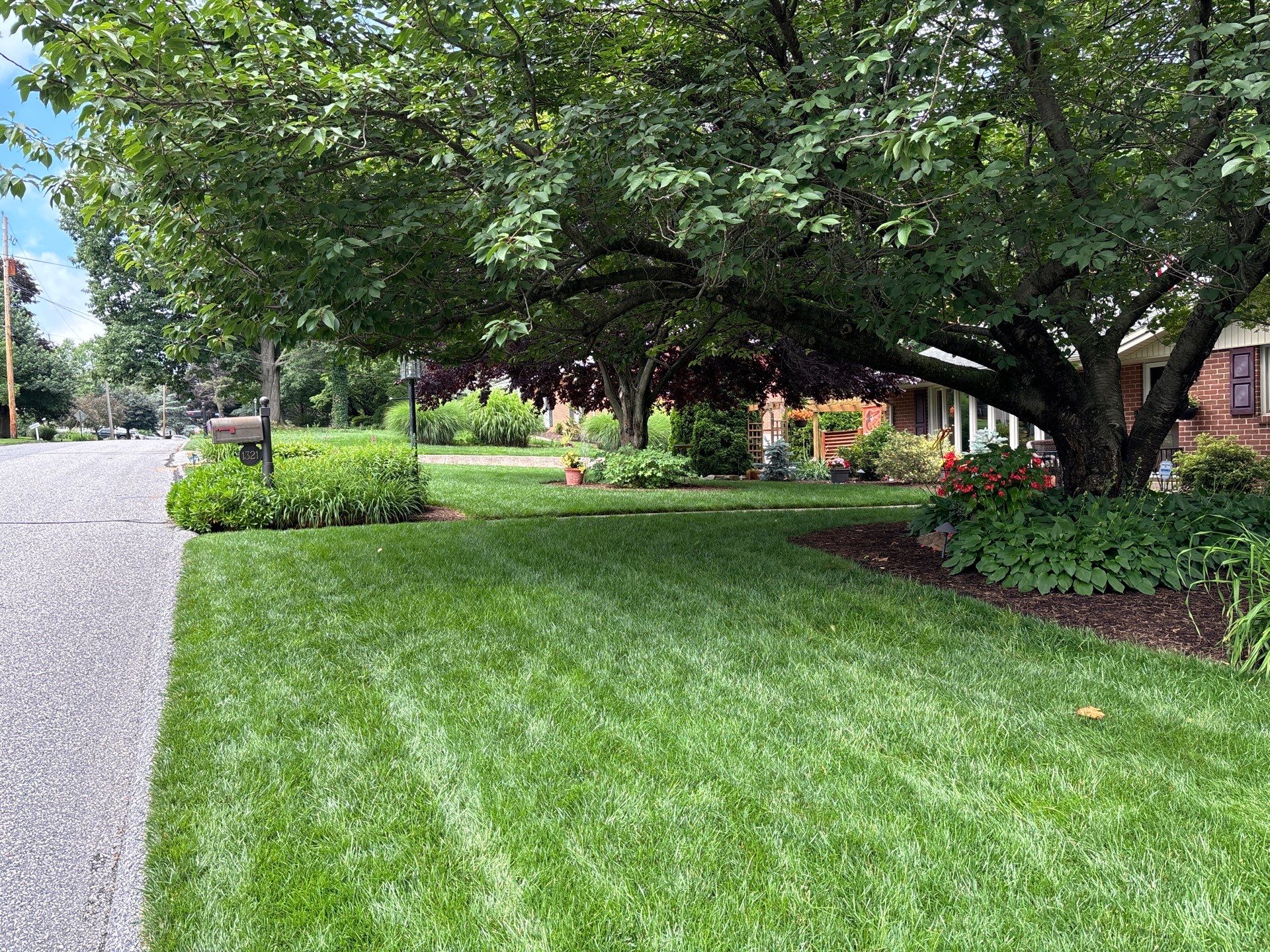 York Pa by Go Green CLC