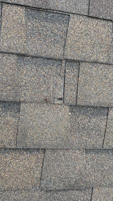 Turtle Shell gutter protection installation in Naperville, IL 60563, photograph 12