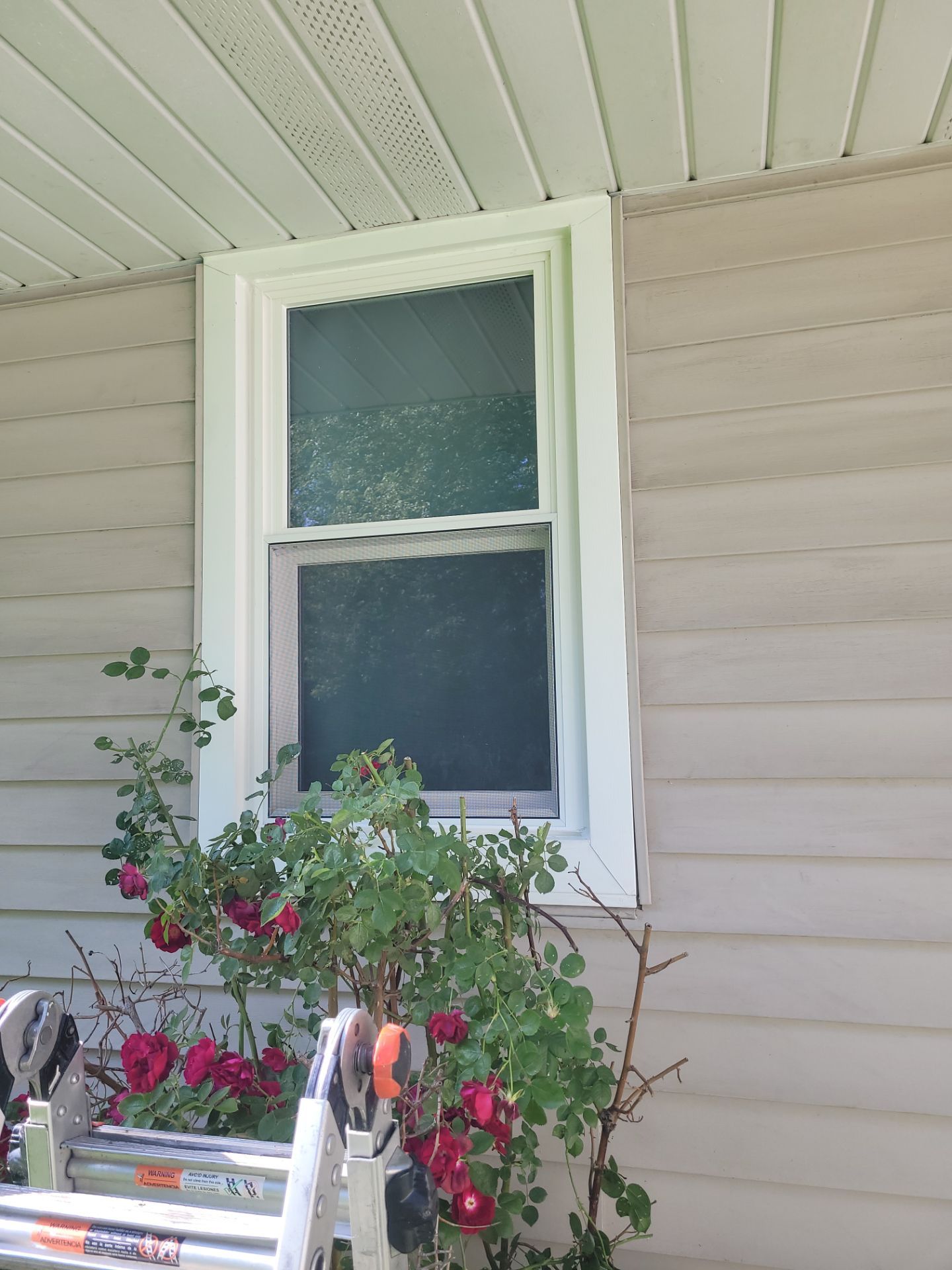 Jeannette Stewart by Silver Leaf Contracting 