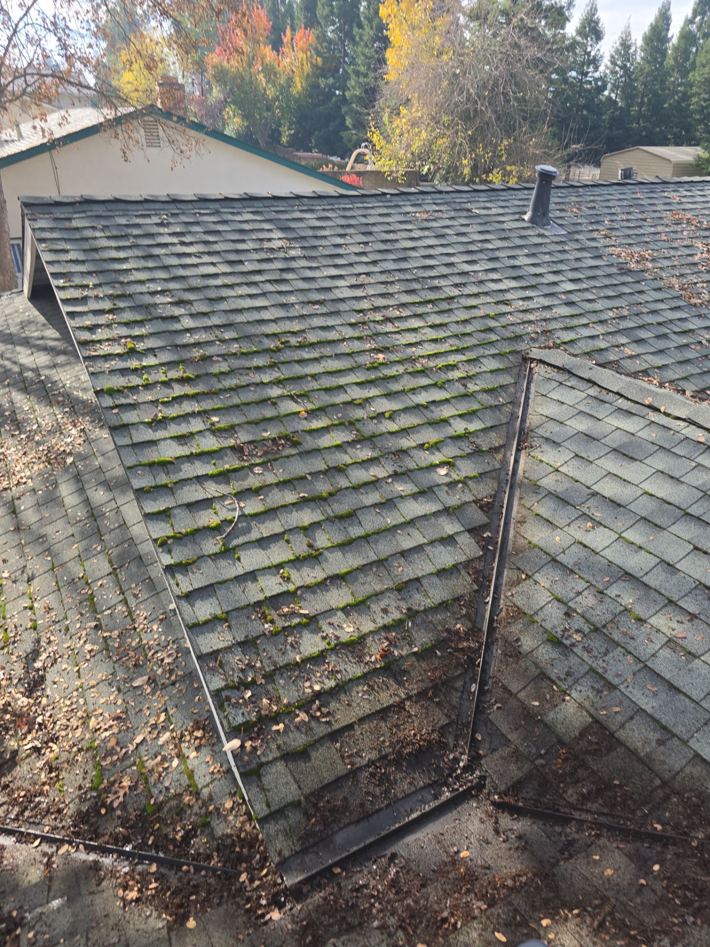 Roof Rejuvenation using Roof Maxx Treatment by Roof Maxx of Folsom