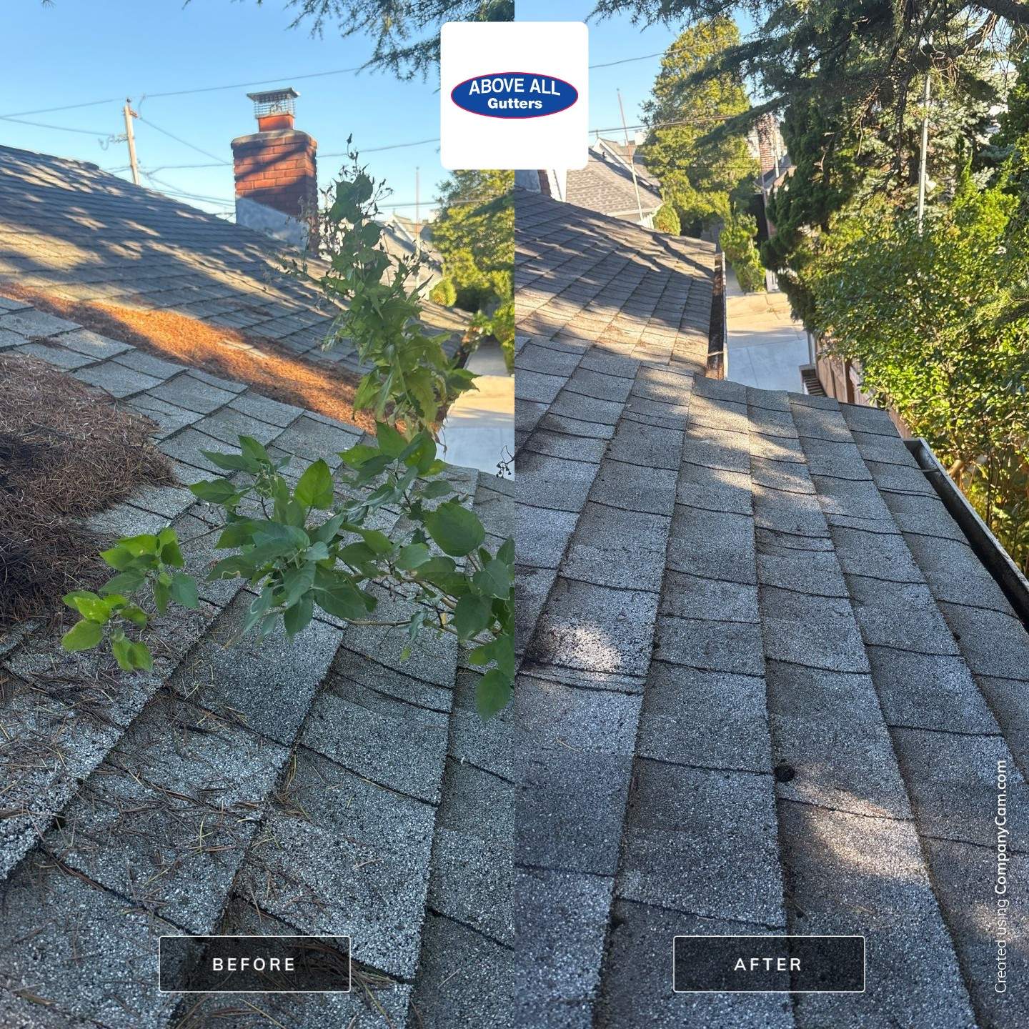 Comprehensive Gutter and Roof Debris Removal in Point Lookout by Above All Gutters