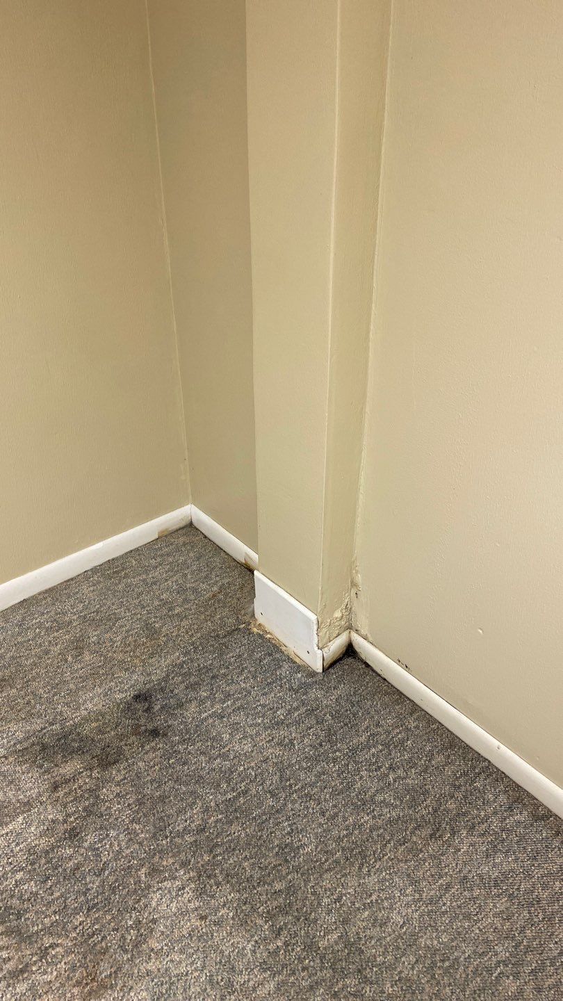 Water Damage  by Accountable Home Services