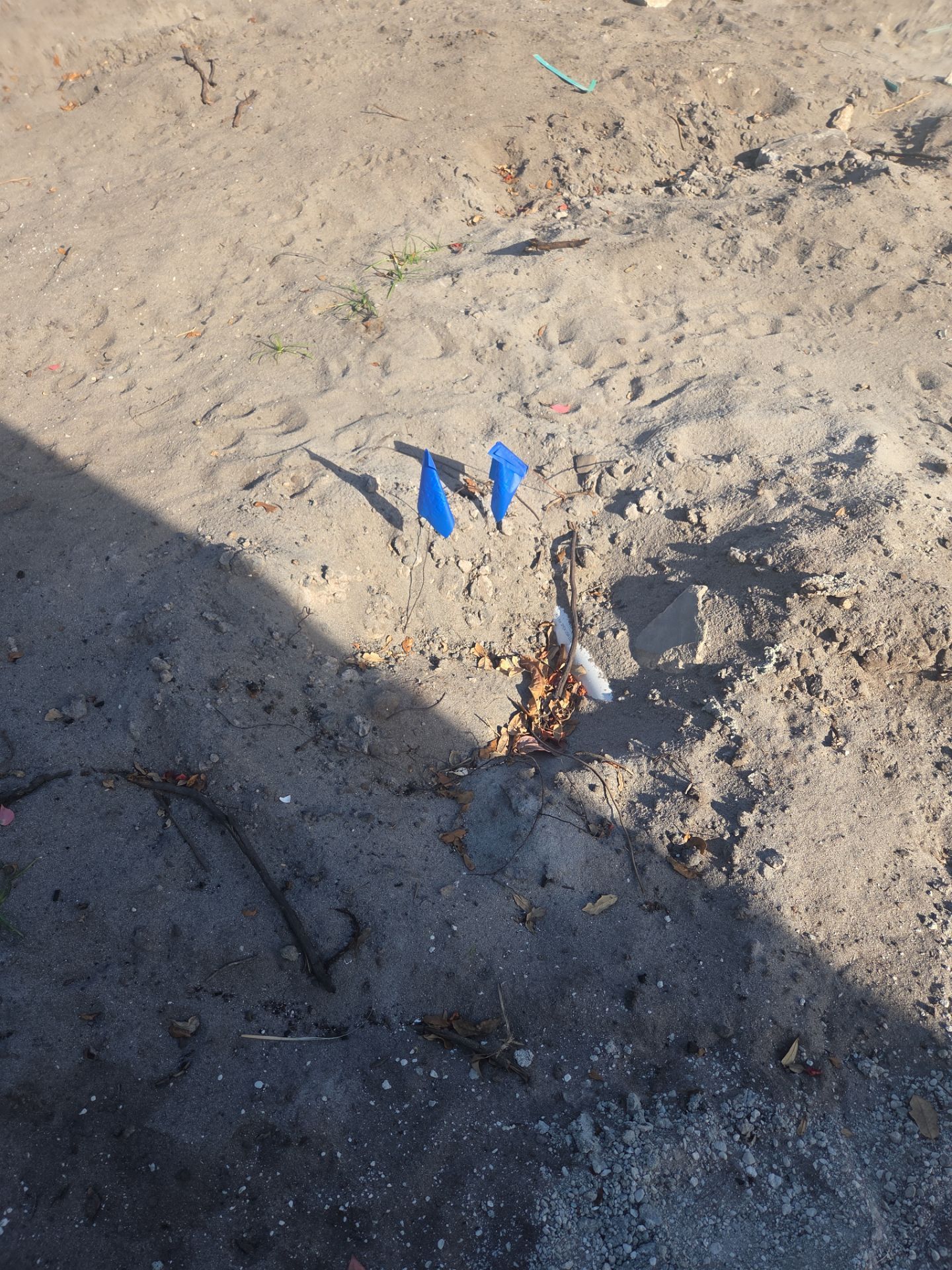 Landscaping and Irrigation for New Construction in Mariner Sands  by Alpha Zeta Enterprises Inc