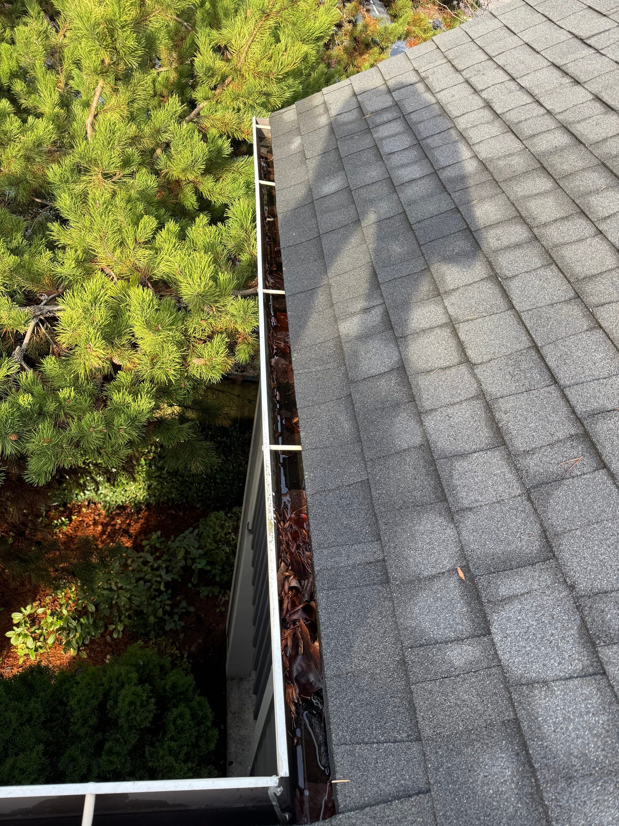 Commercial gutter cleaning Eugene before photo with filled gutters