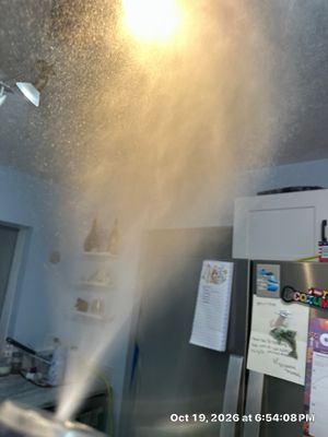 Mold Remediation — Naples, FL
