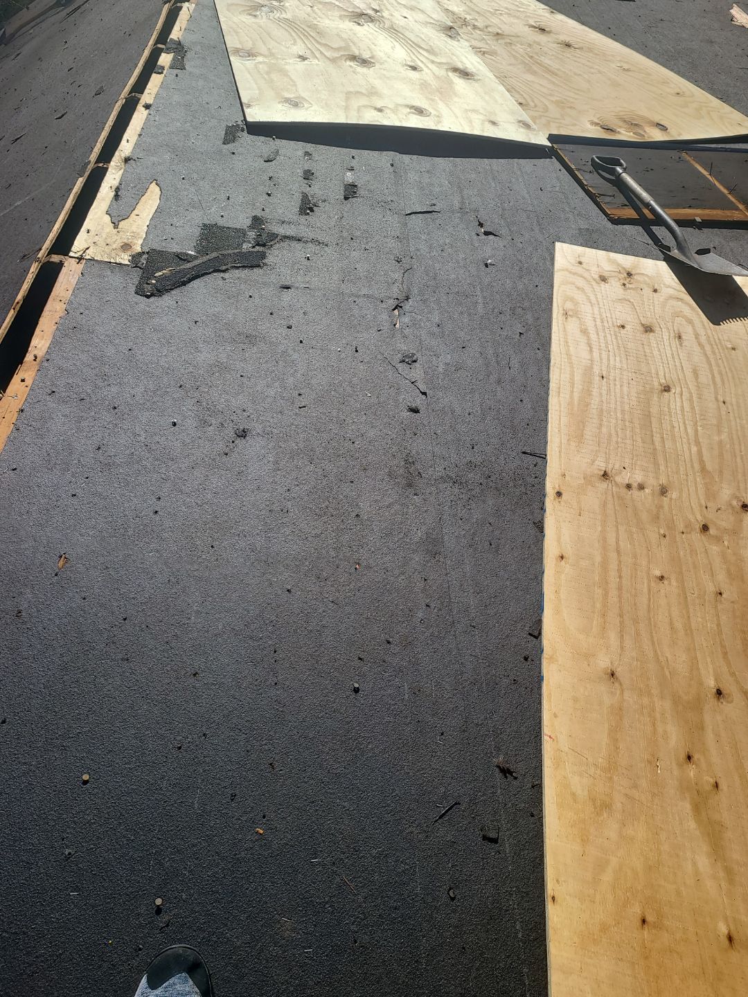 Springfield CertainTeed Landmark Pro Roof in Max Def Pewter by RM Banning, Inc.