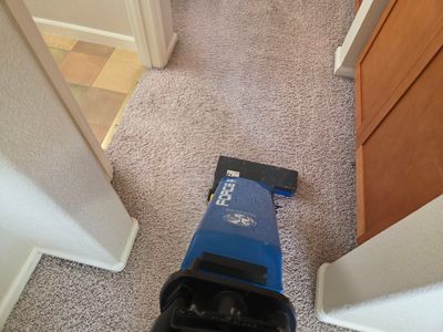 Carpet & Upholstery Cleaning in Roseville