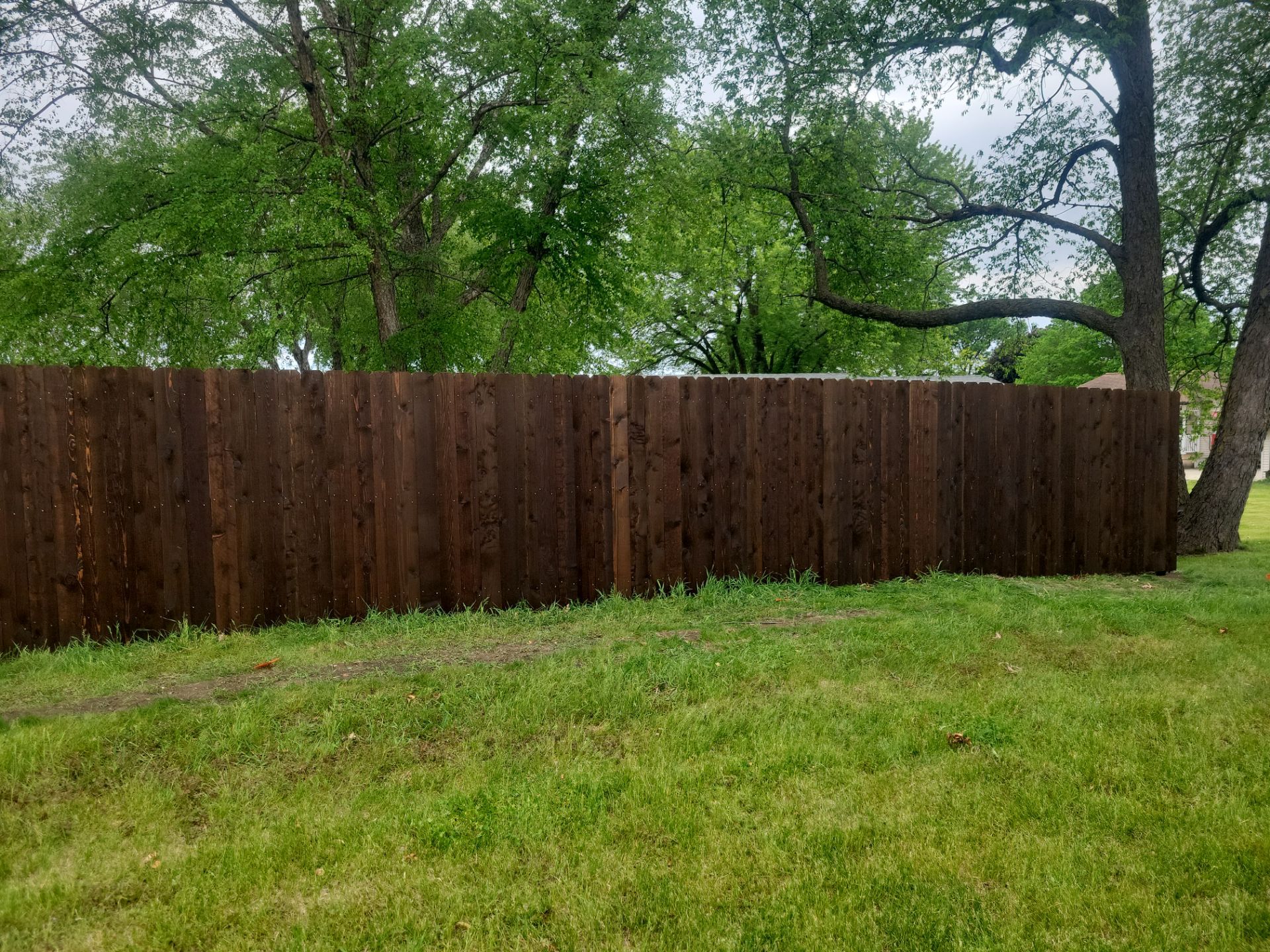Chain Link and Cedar Privacy in Grundy Center by Perfect Picket Fence and Stain