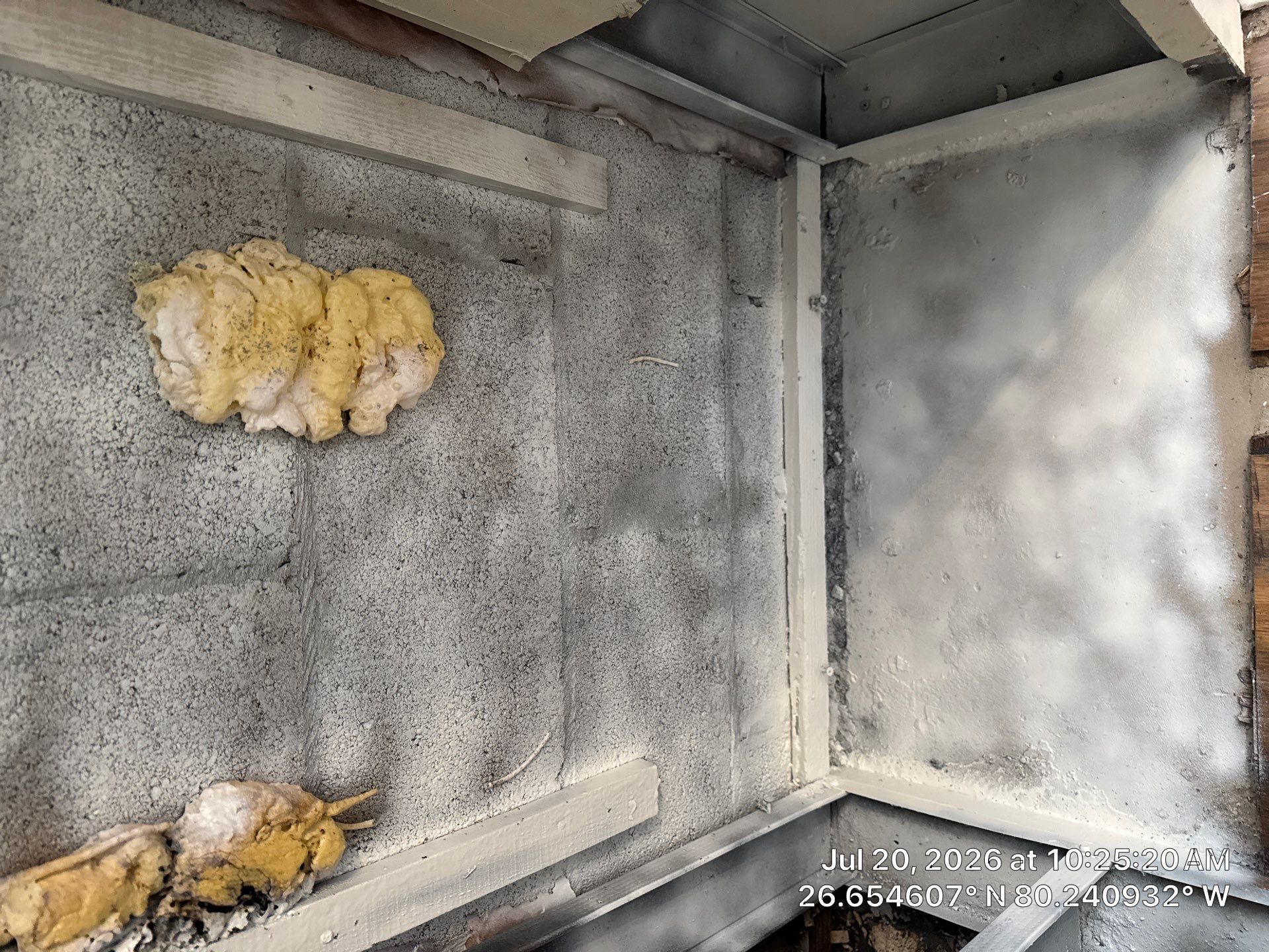 Professional Mold Remediation and Interior Water Damage Restoration in Wellington by SuperClean