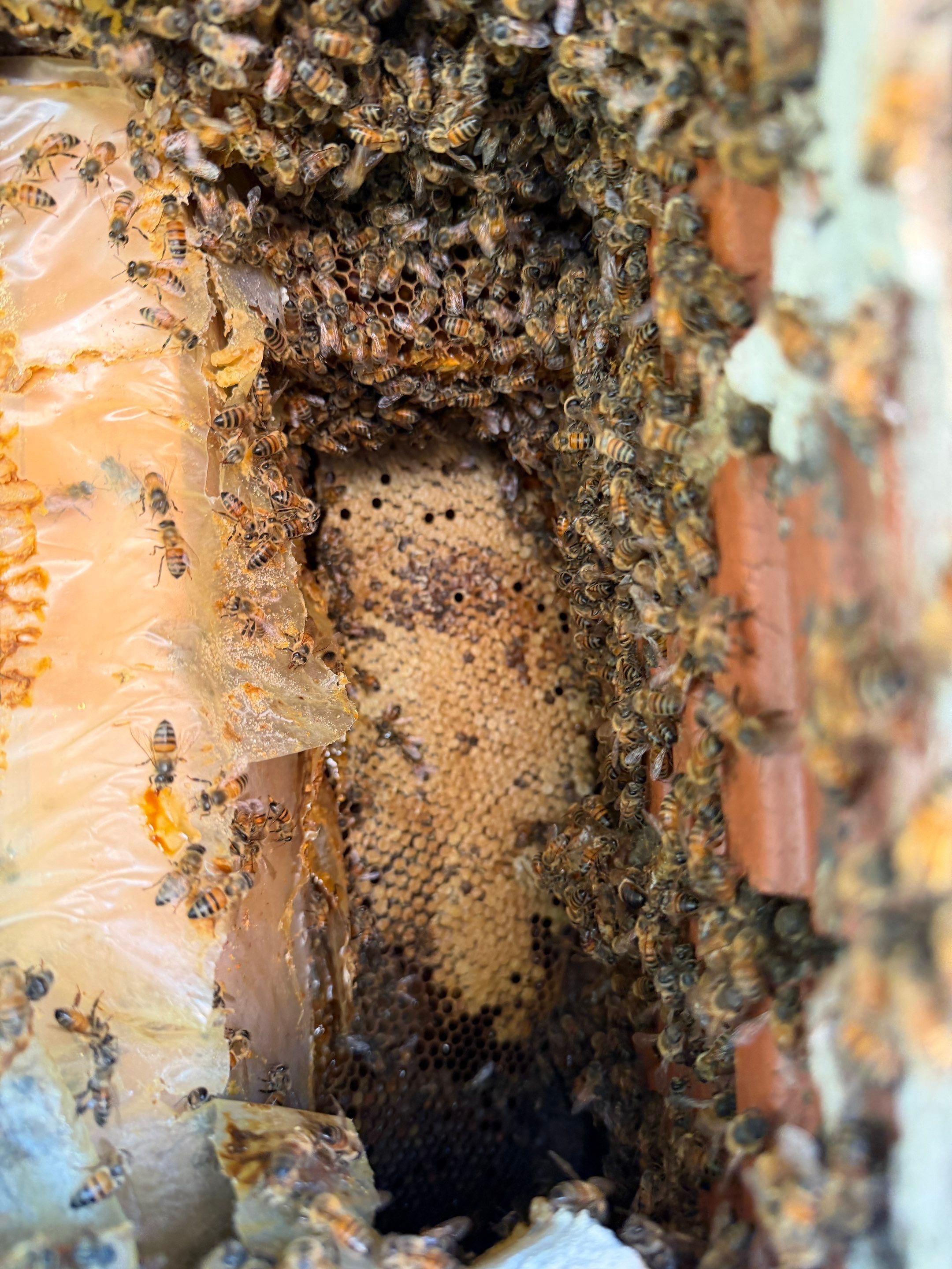 Brick Column by Rockwall Honey Bee Company